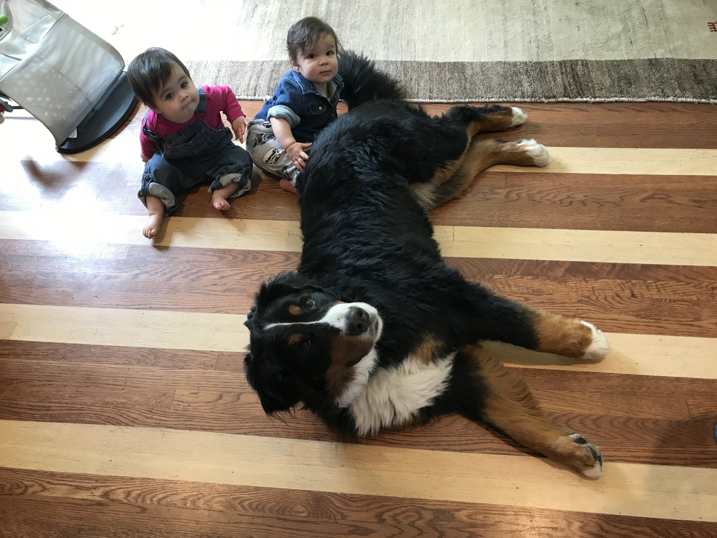 We solemnly swear we are up to no good