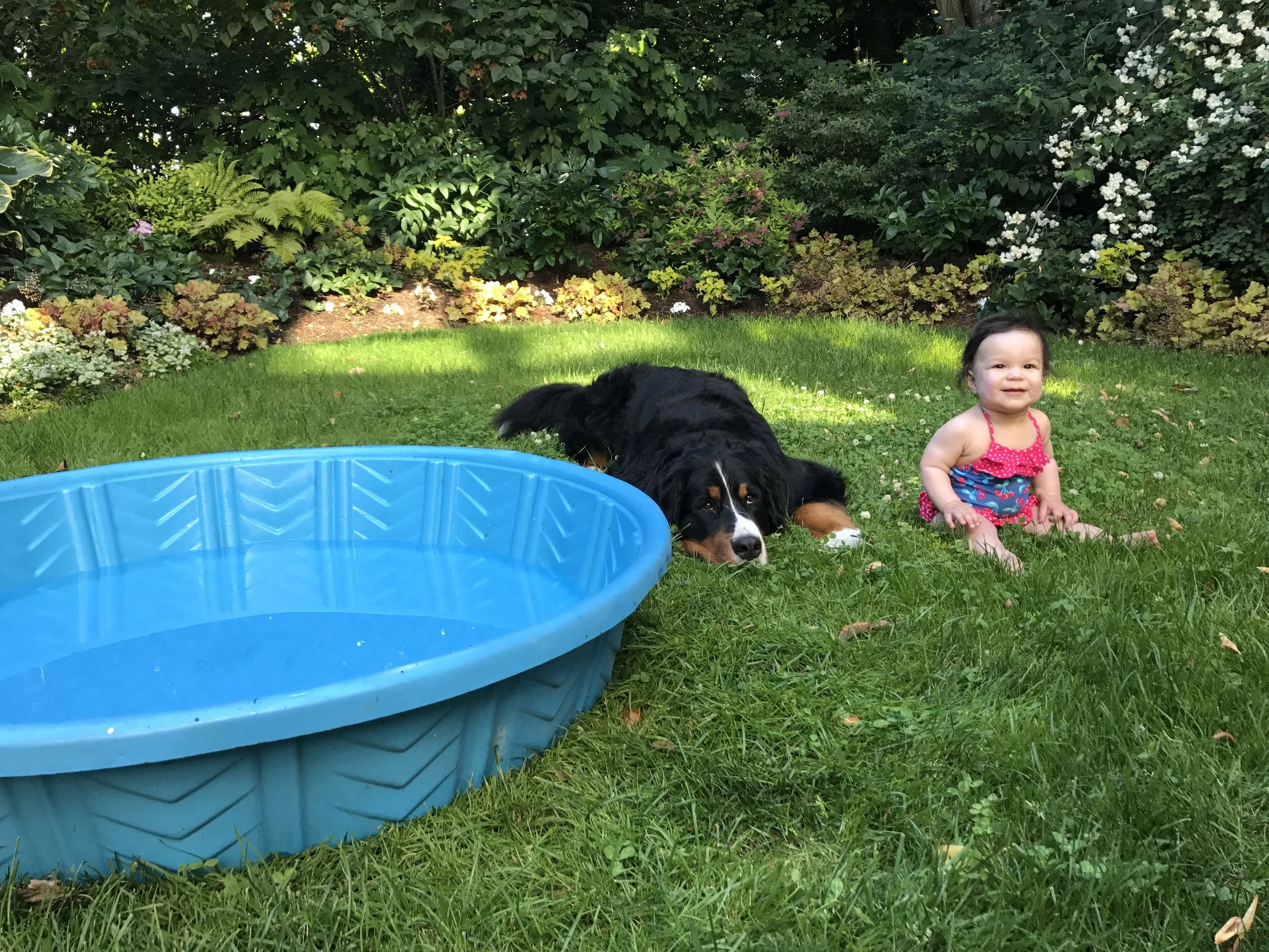 Wait, garden hose water isn't as warm as the Caribbean?