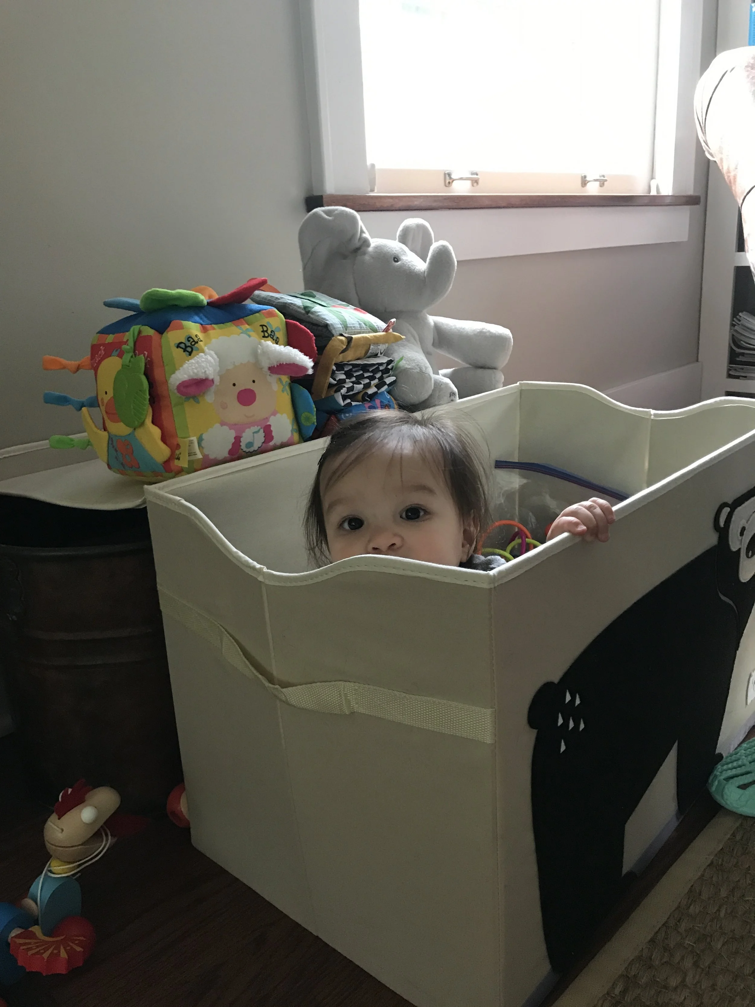 Someone found a new playpen