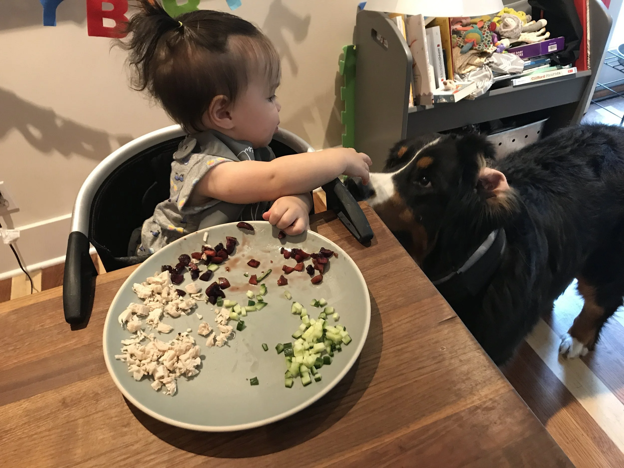 Please do not feed the animals