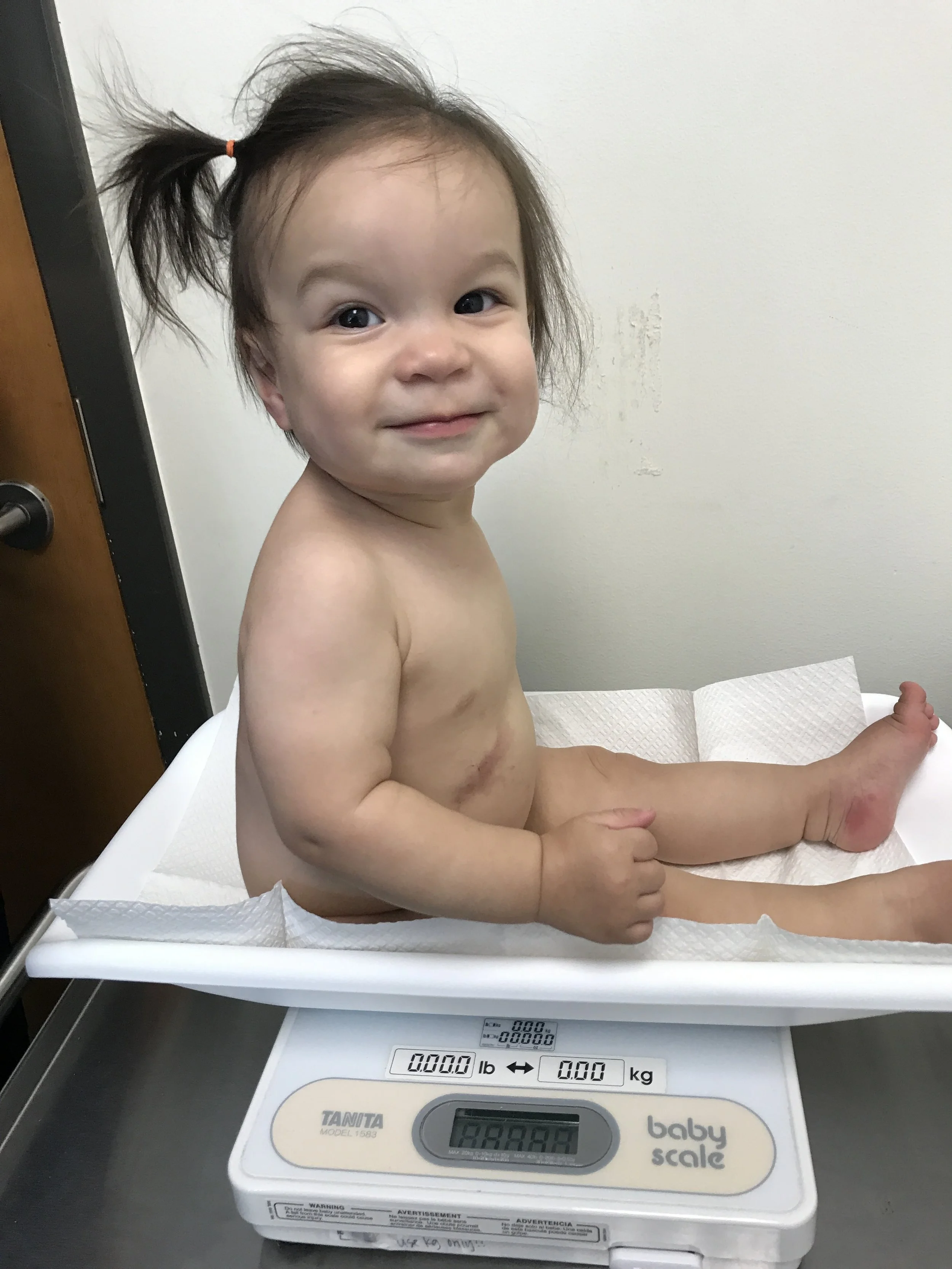 Vaccines and blackberries