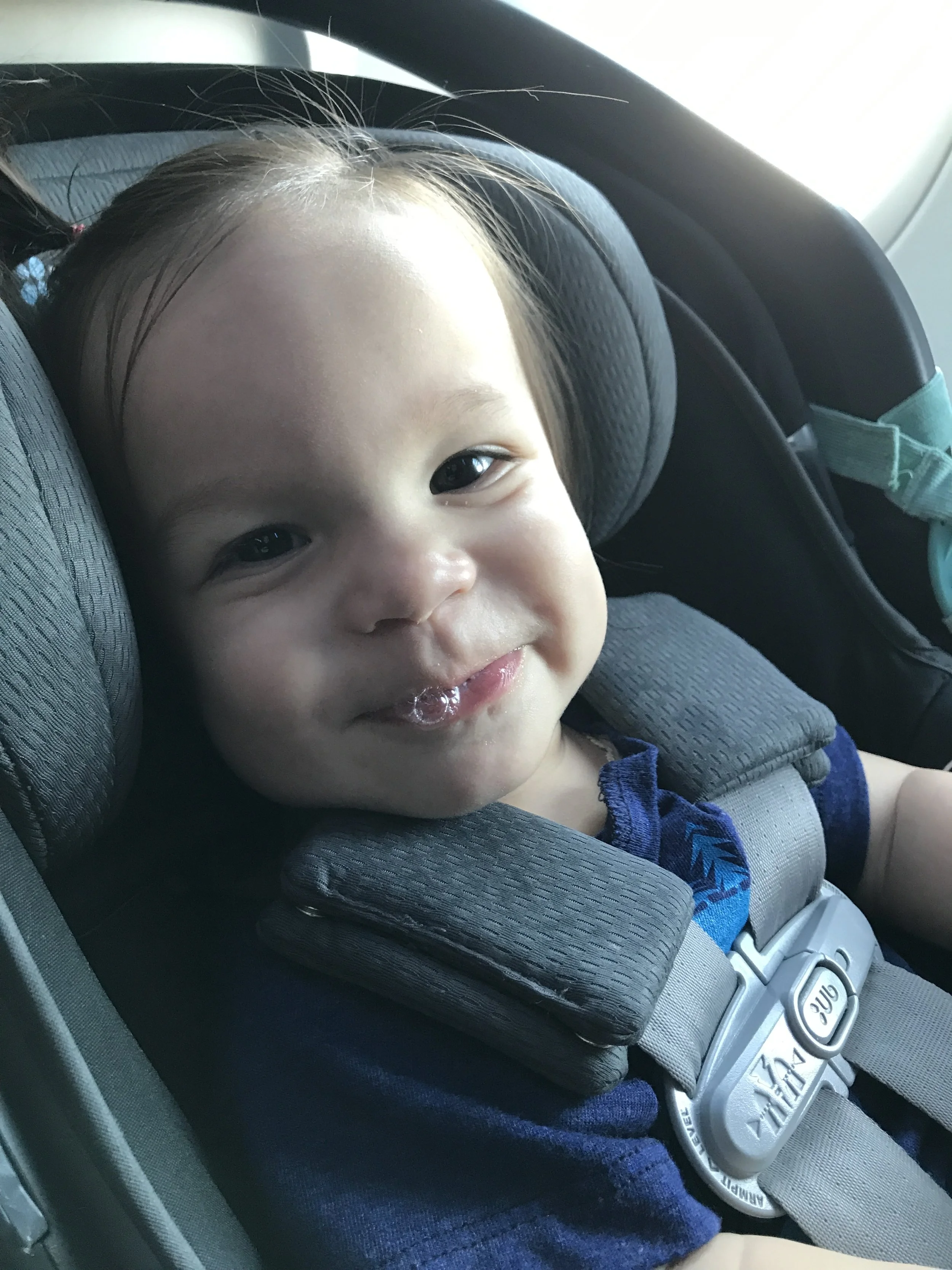 Raspberries at 10,000 feet