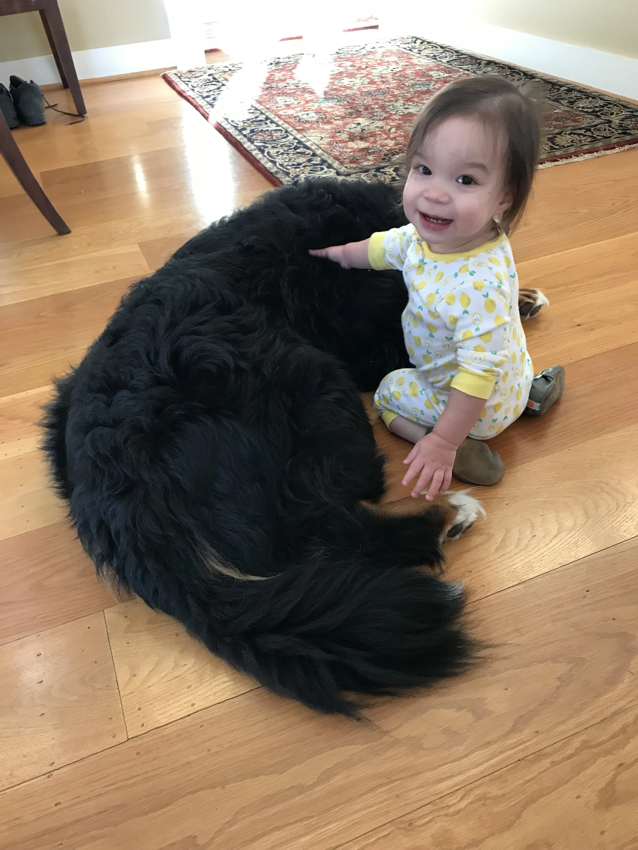 A girl and her dog 