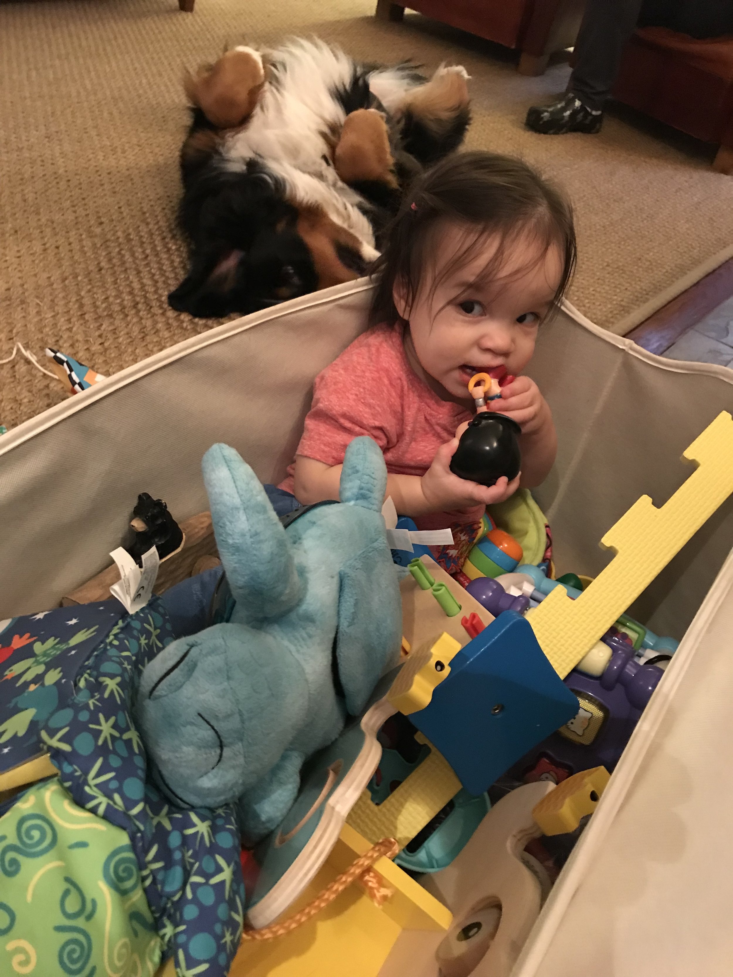 There’s something strange in the neighborhood...