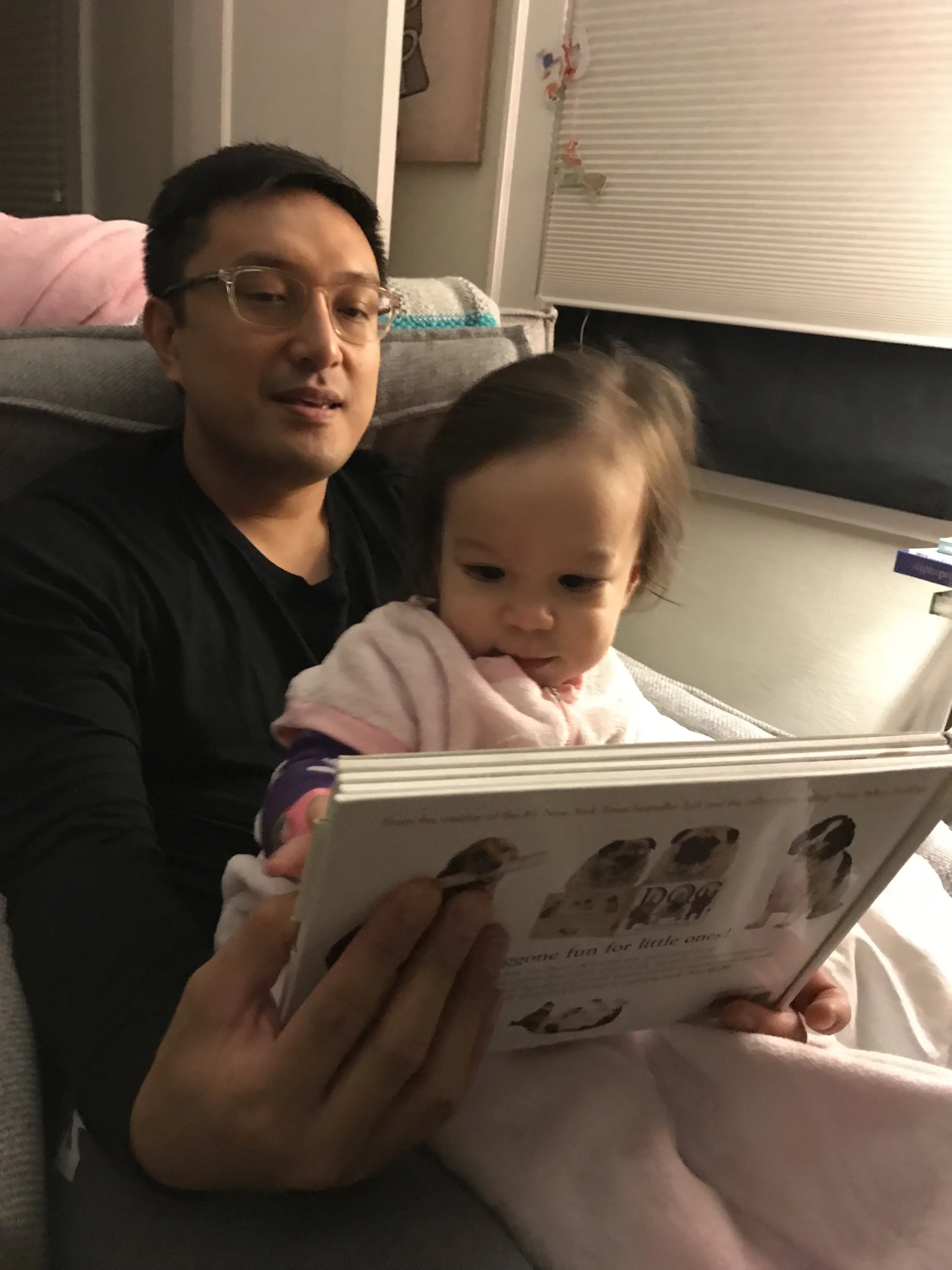 EVERY night, we read about dogs