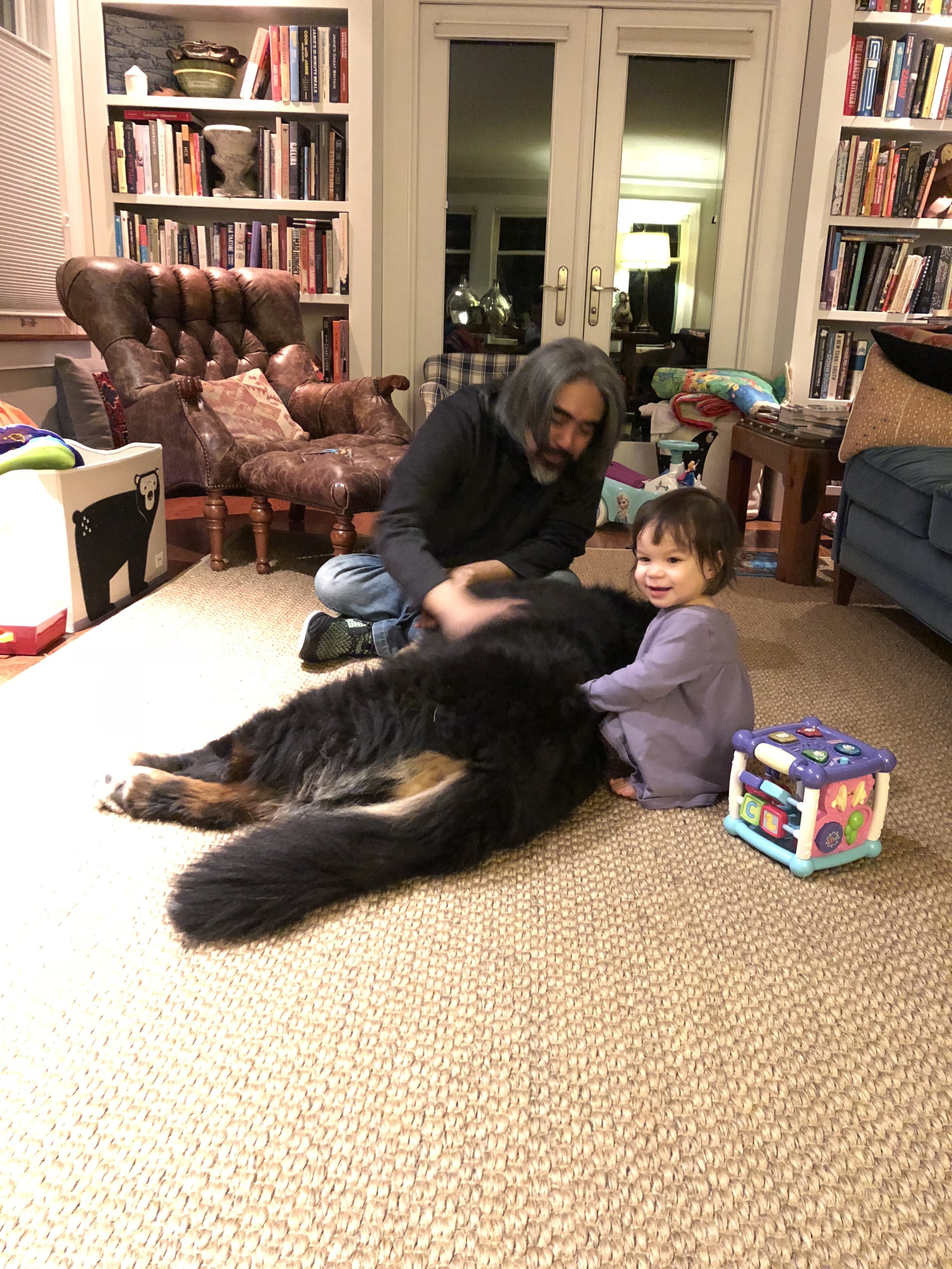 Petting zoo, the urban edition