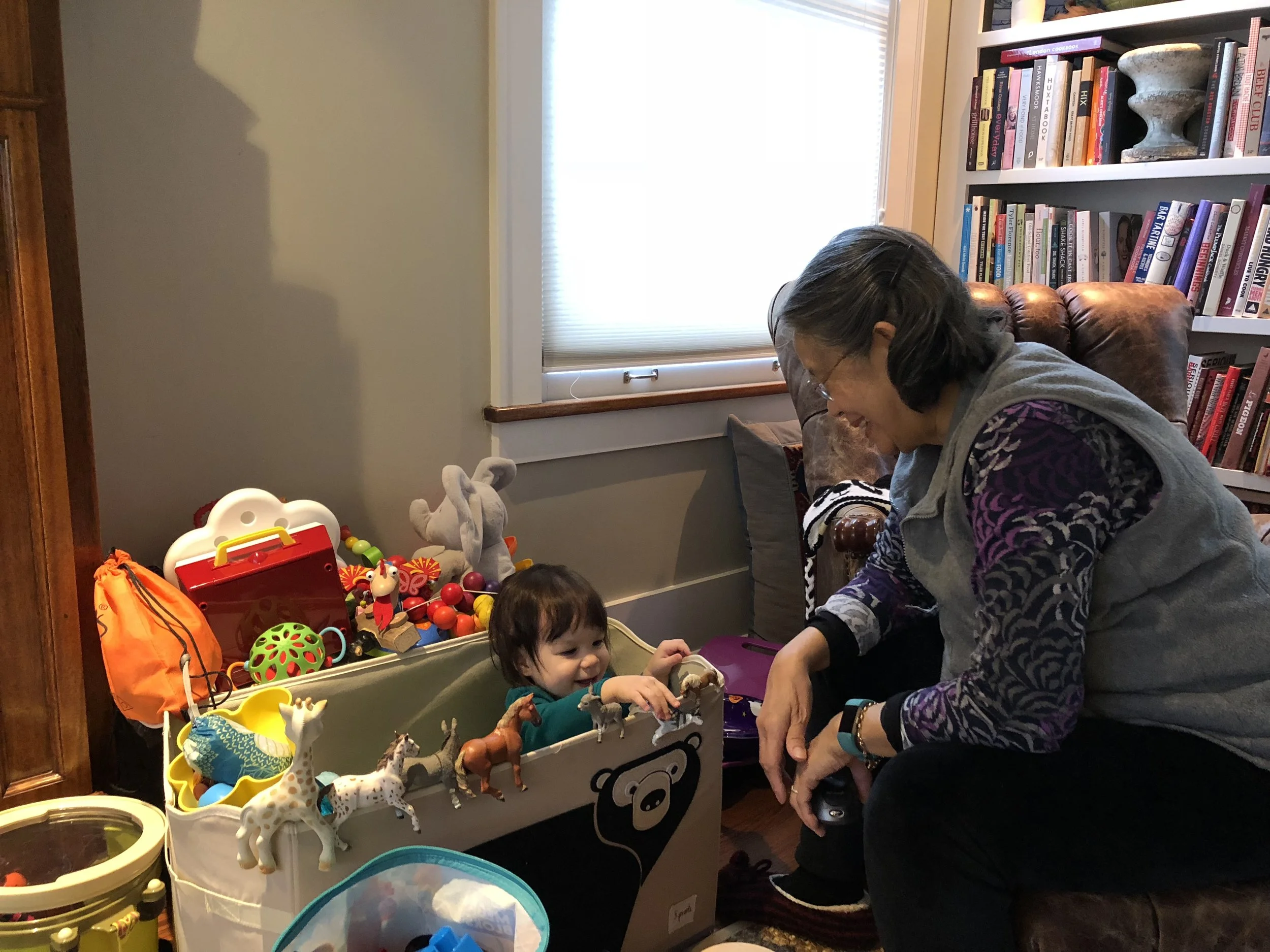 Lola and the stampede