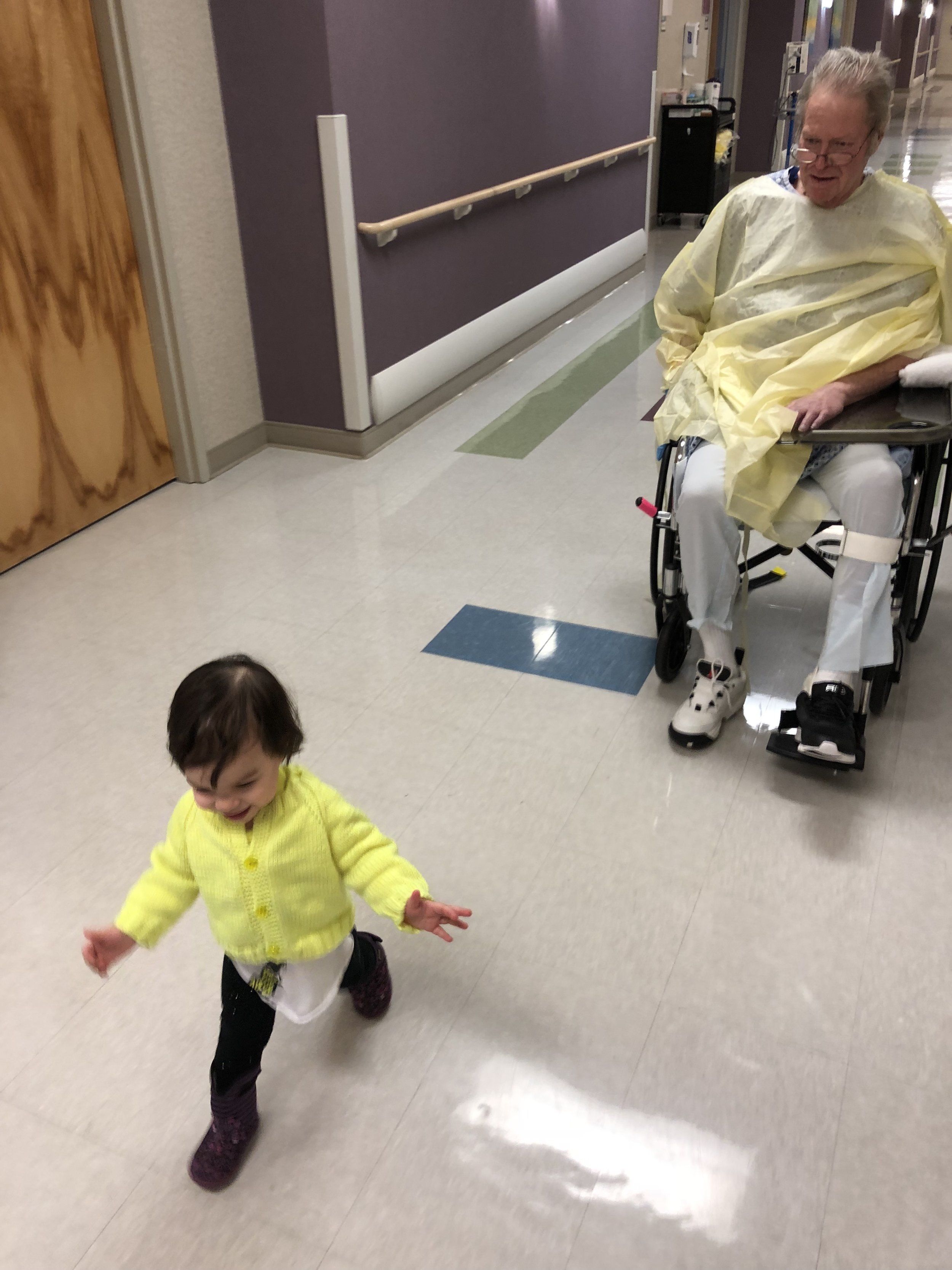 Tortoise and the hare