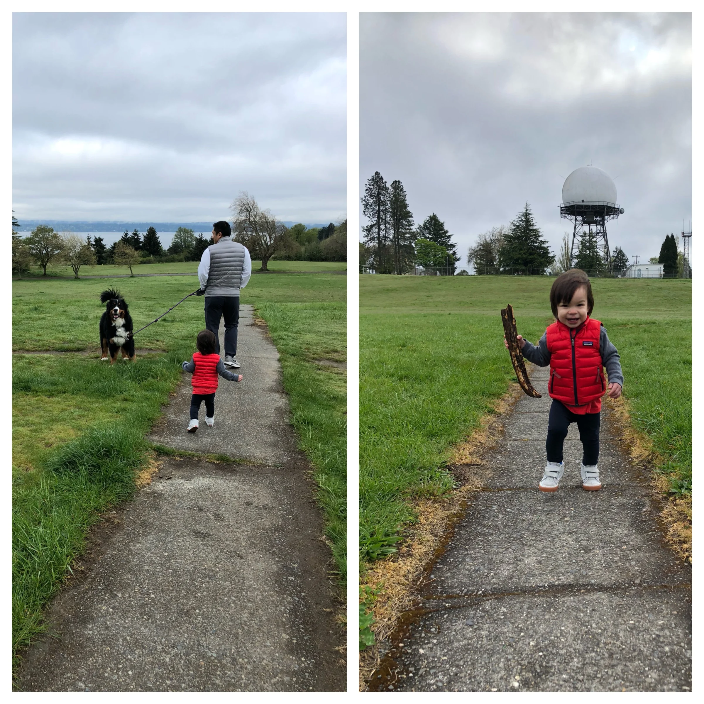 Discovery Park morning