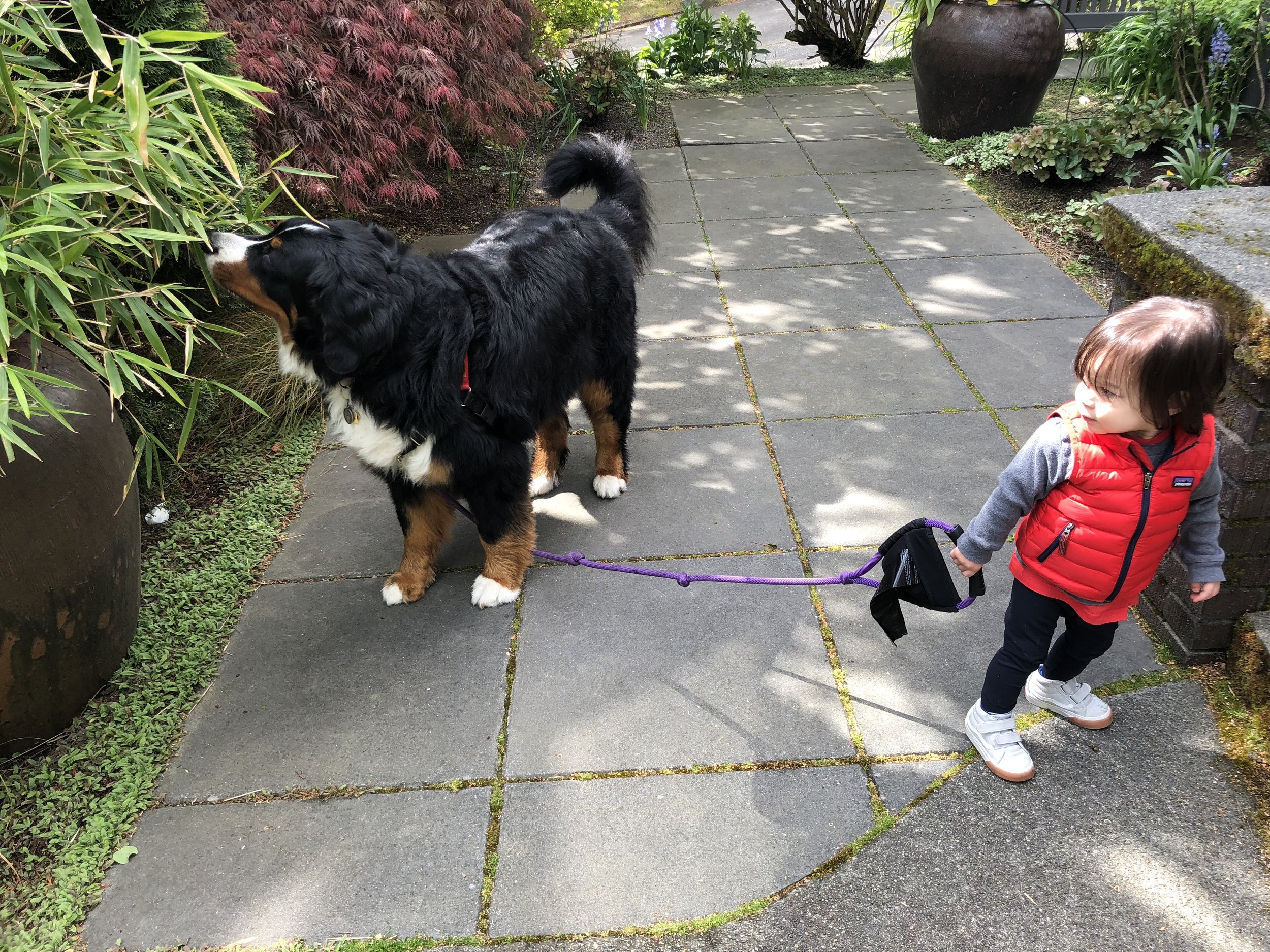 Who’s leading whom