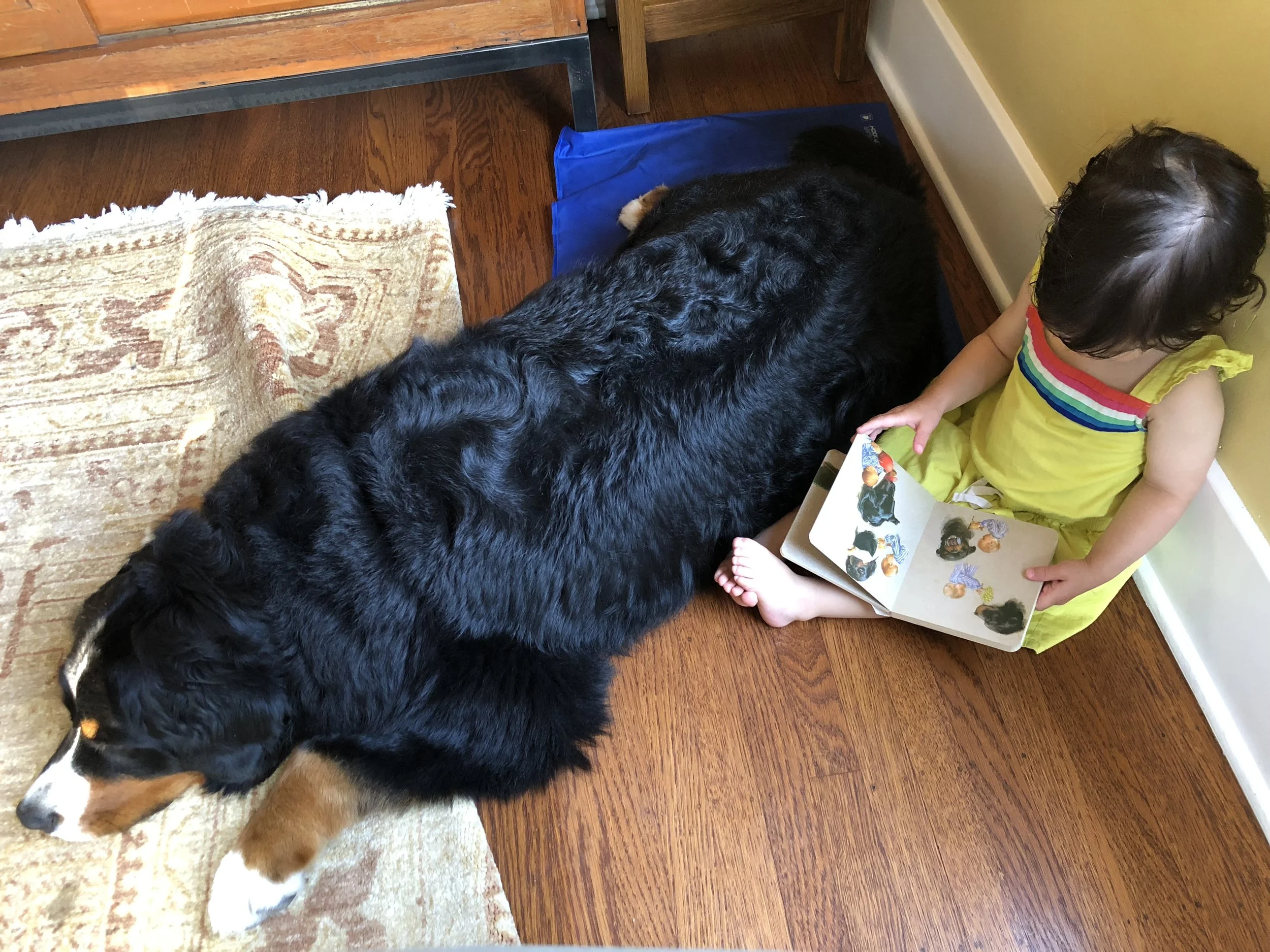 Reading ‘Good Dog Carl’ to Lummi