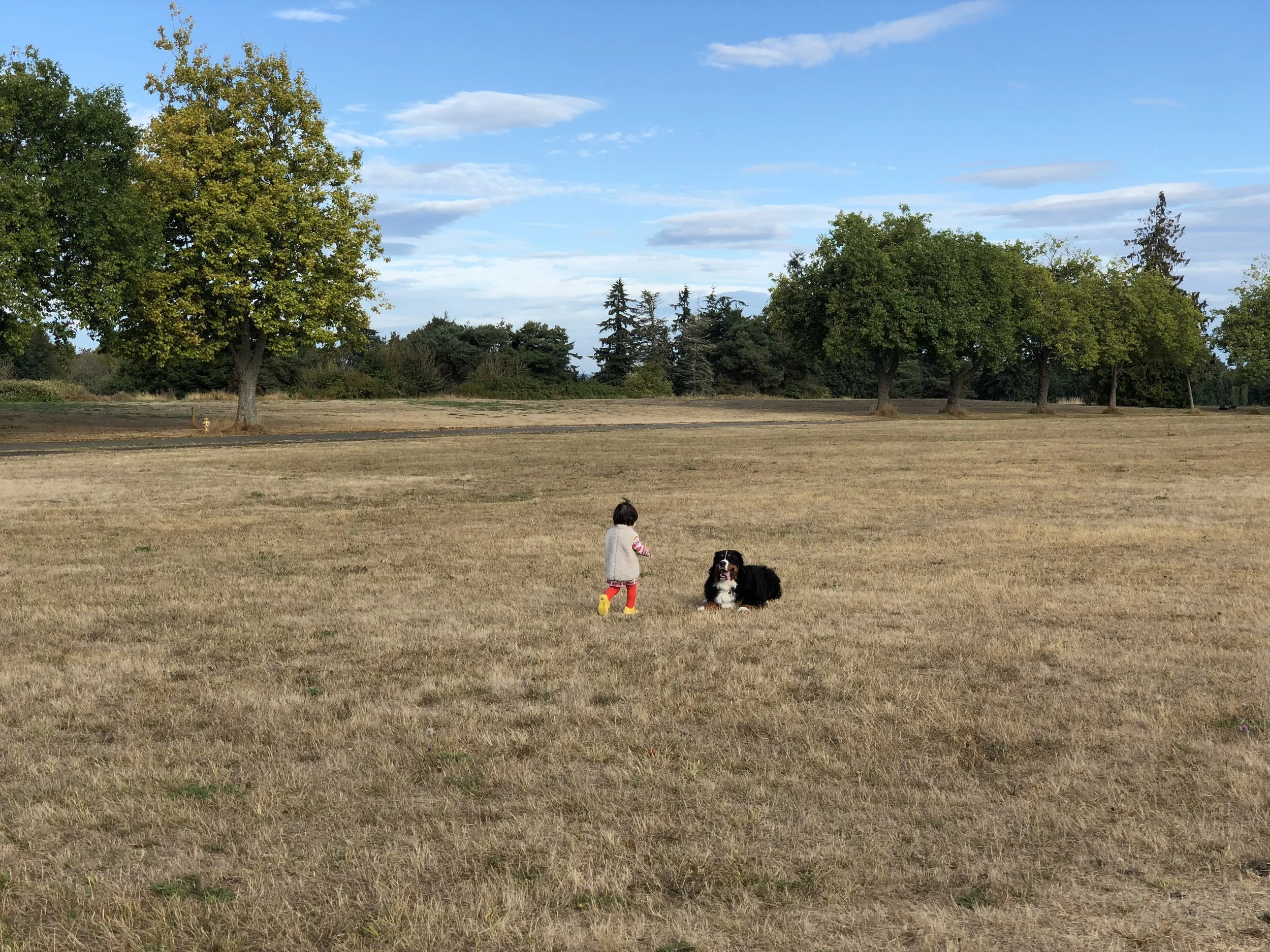 Play date in the park