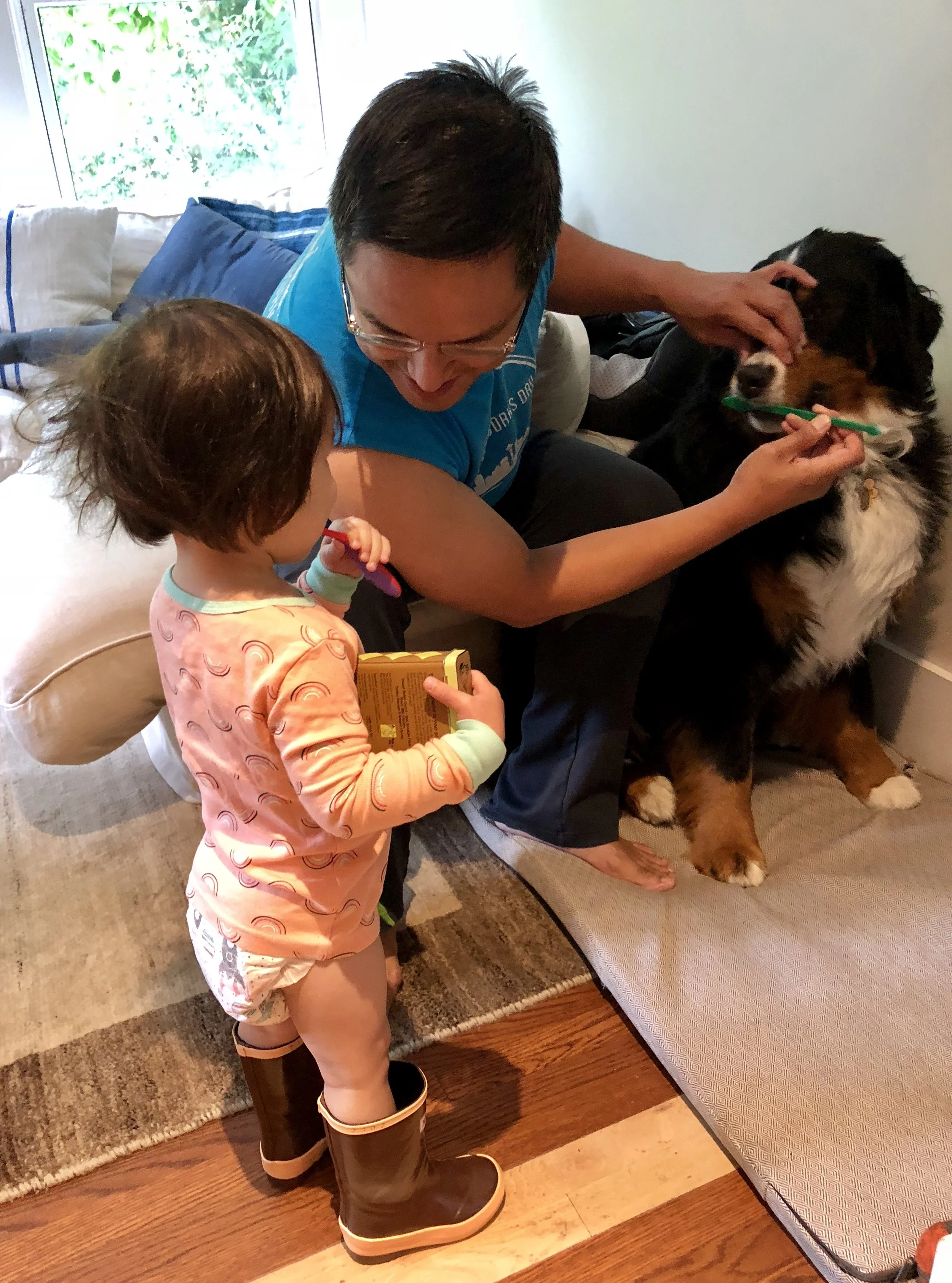 Everybody brushes their teeth