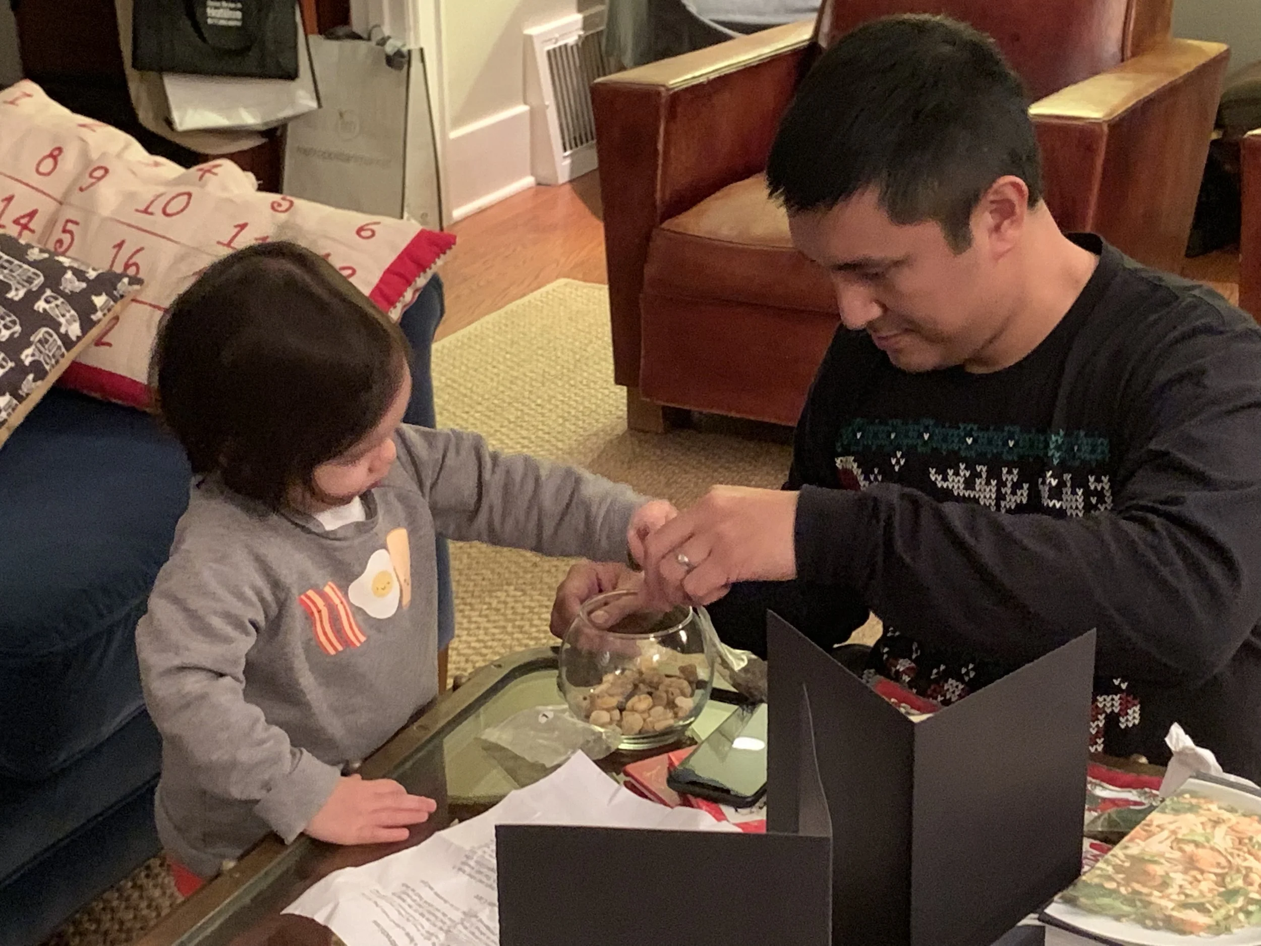 Terrarium imaginarium 