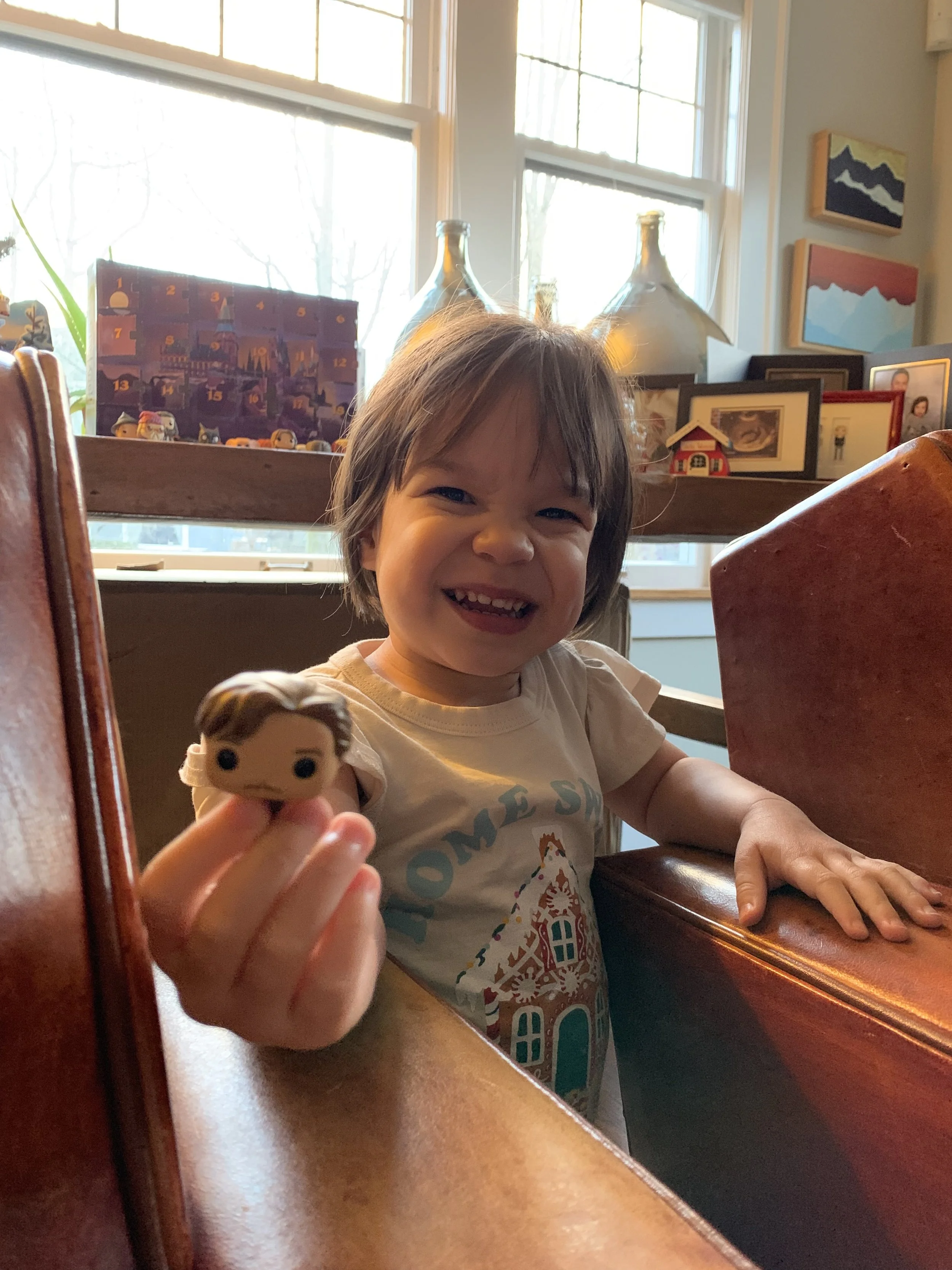 Harry Potter Advent Calendar