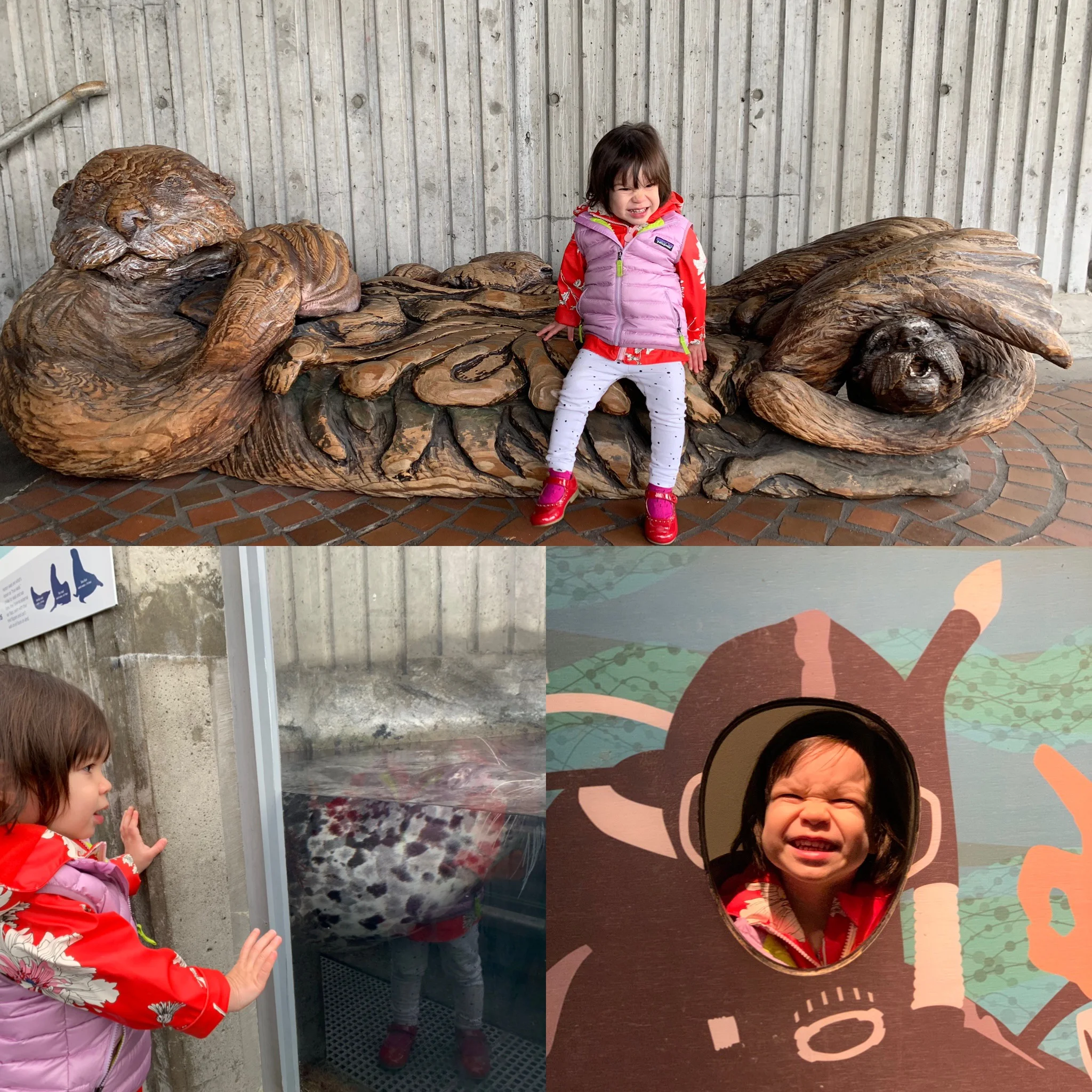 Meryl’s day at the Seattle Aquarium