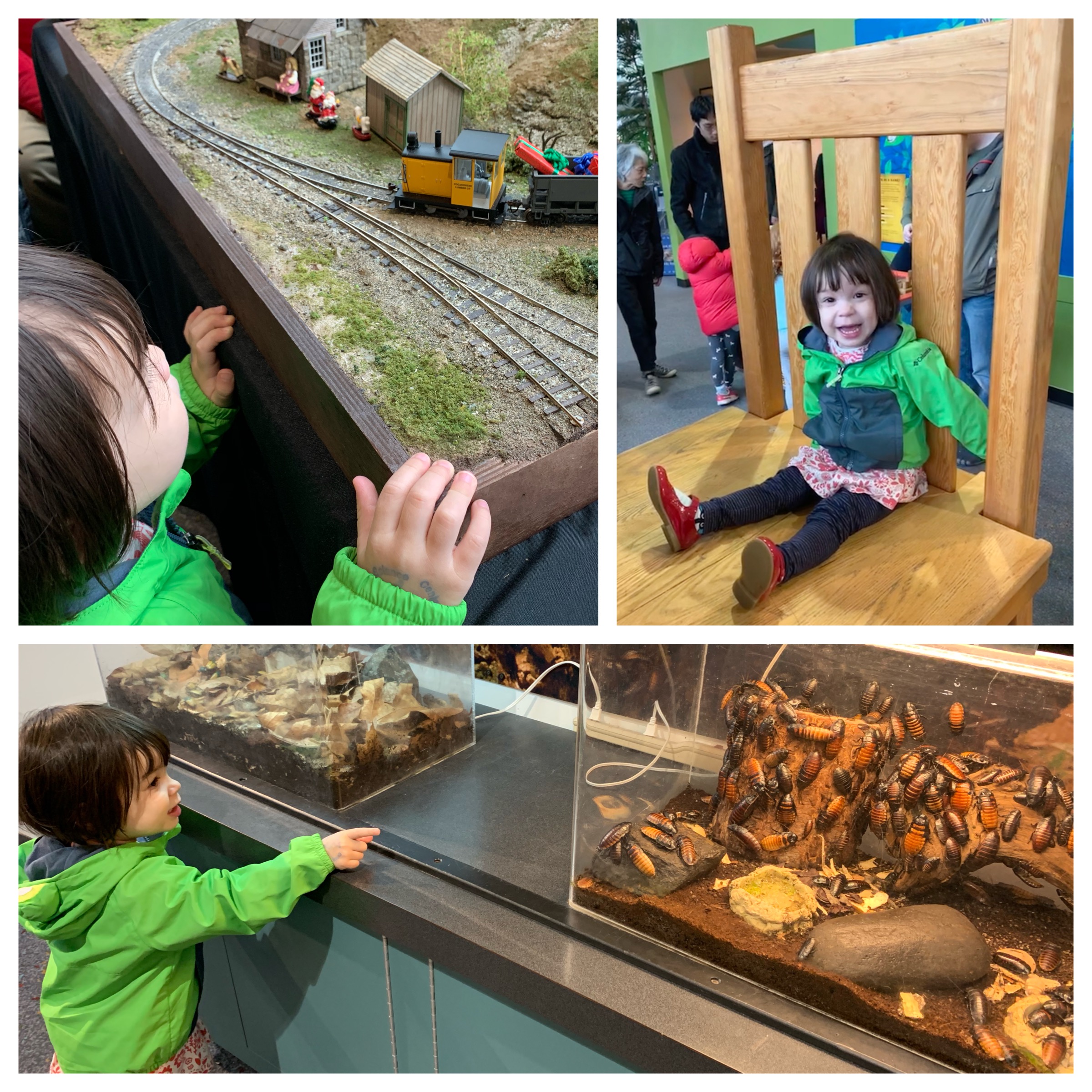 Honey, I shrunk Meryl!