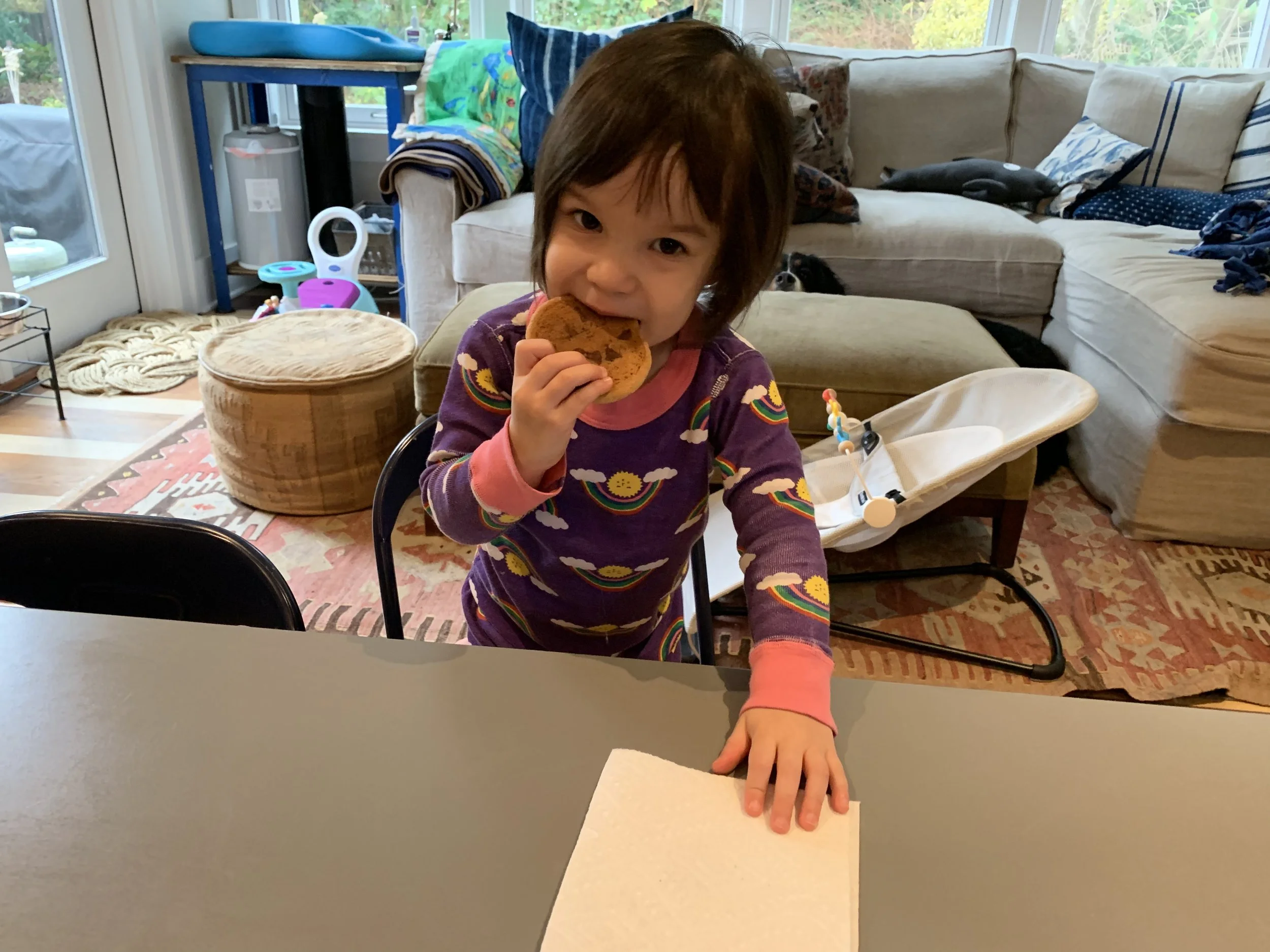 Cookie Monster