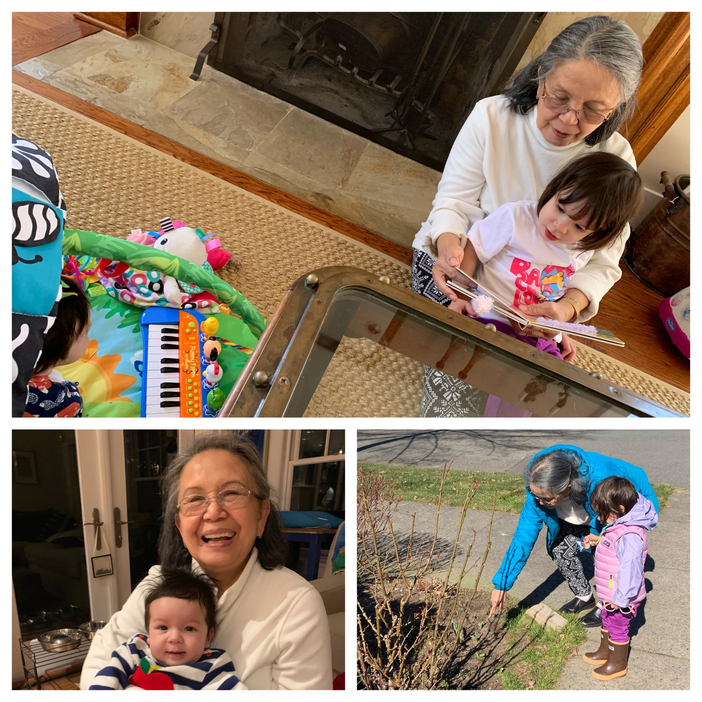 Luckily, Lola is here