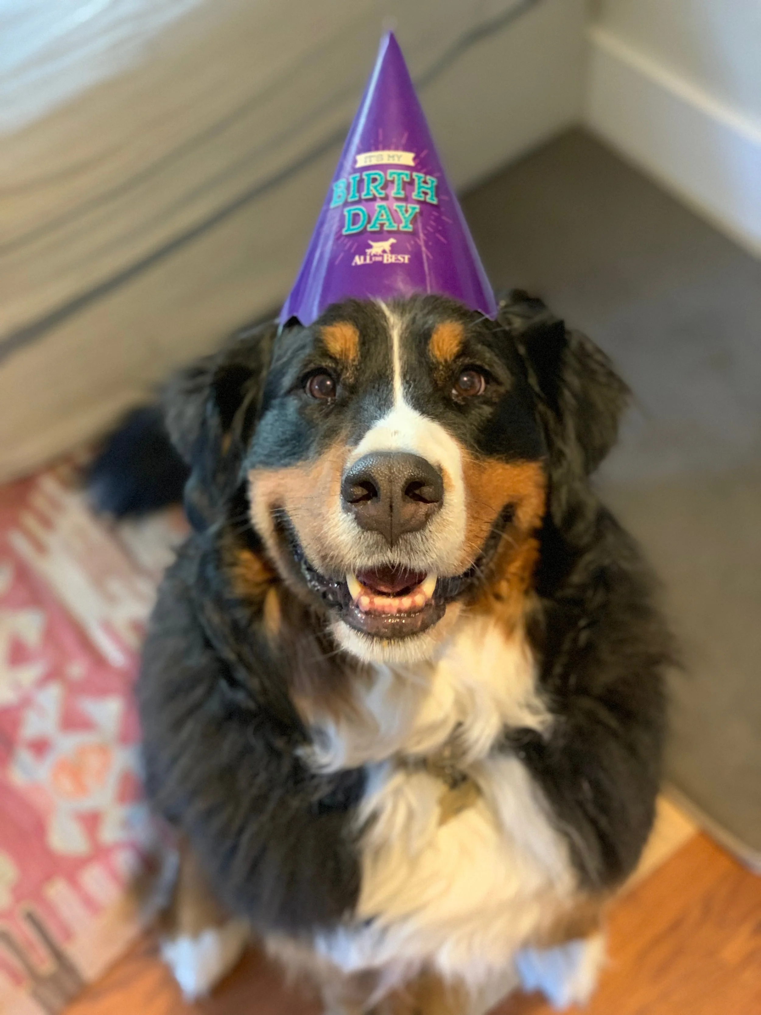 Happy Birthday Lummi!