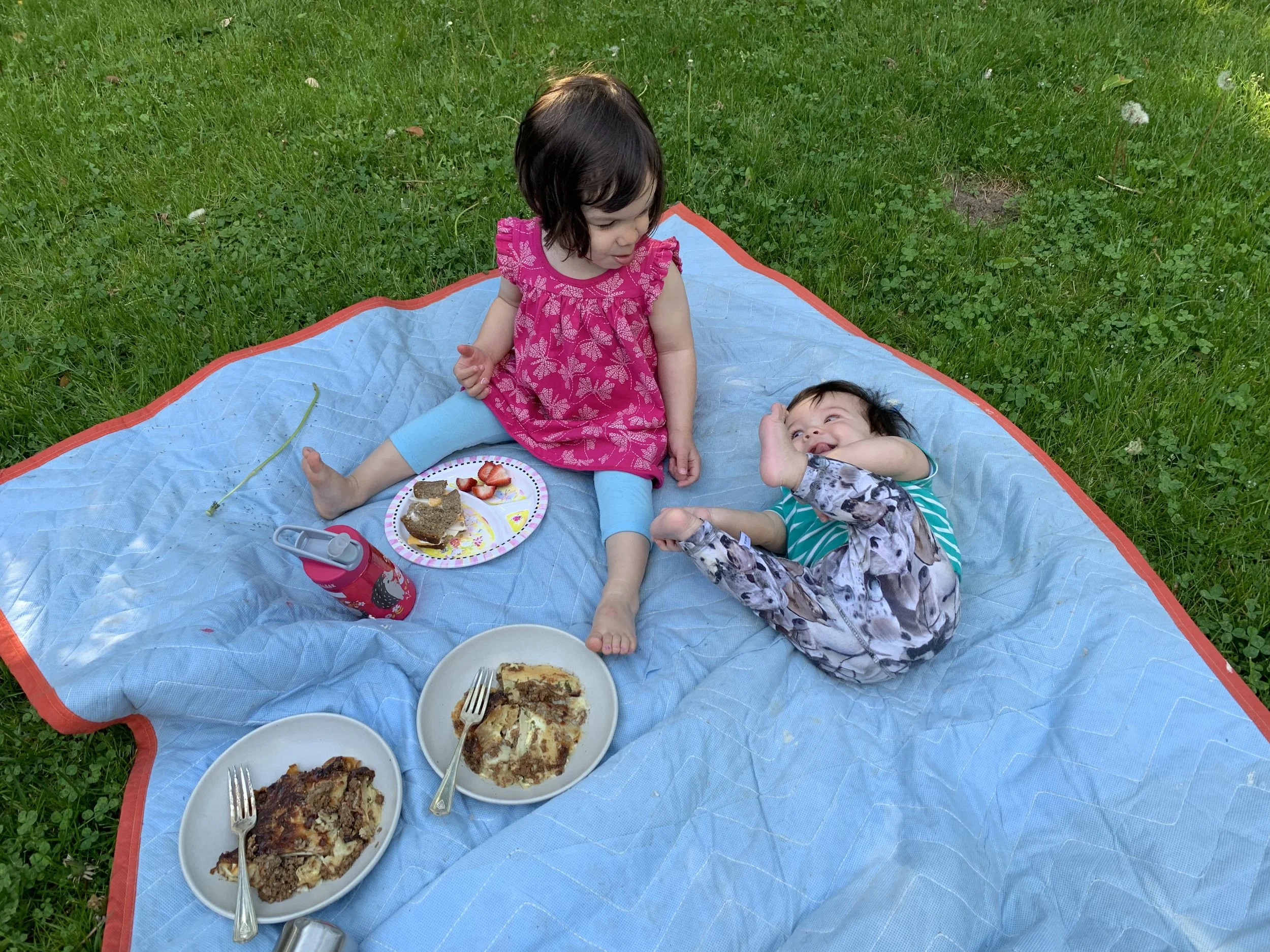 Picnic dinner