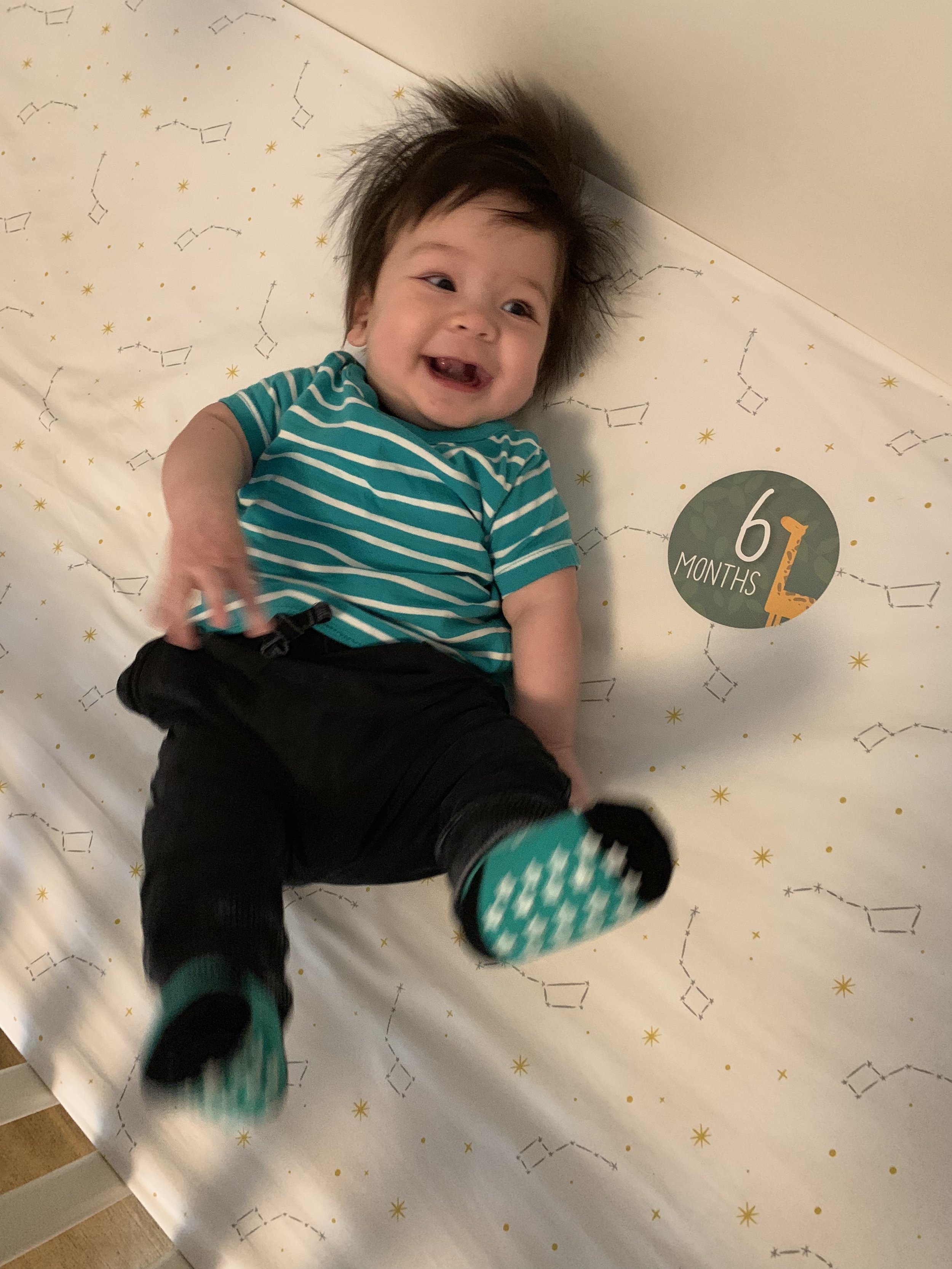 Holmes is six months old