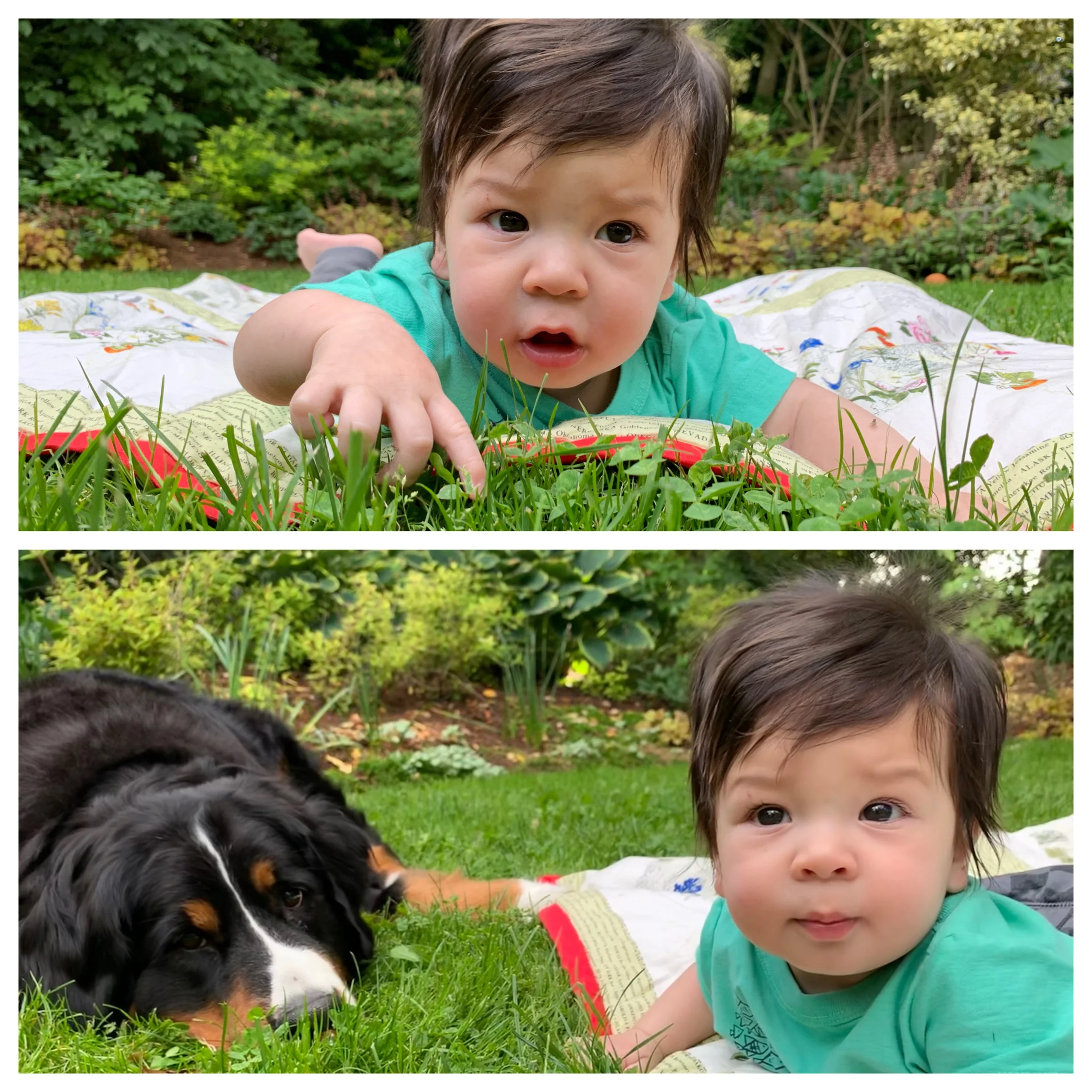 What’s this roughage?