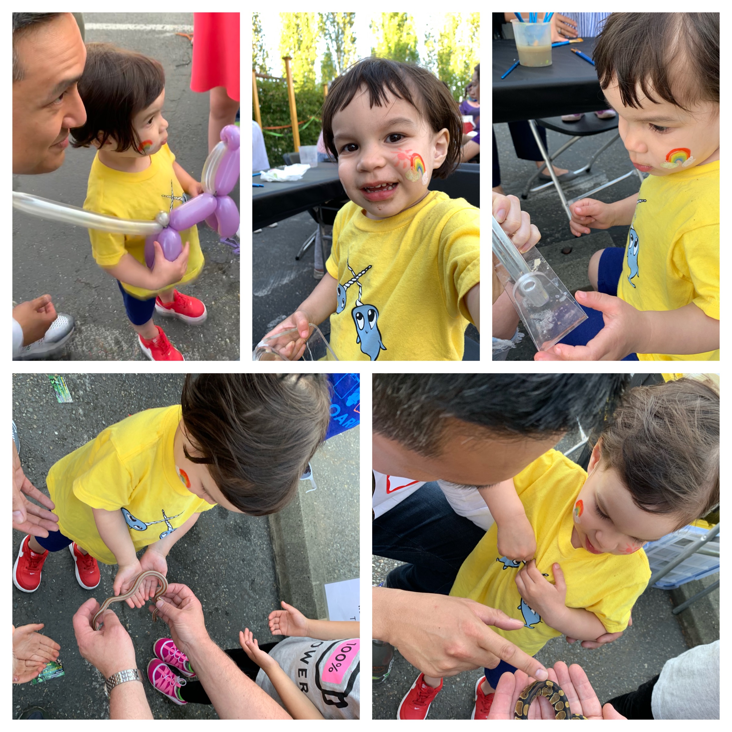 Balloons, snakes, and rainbows