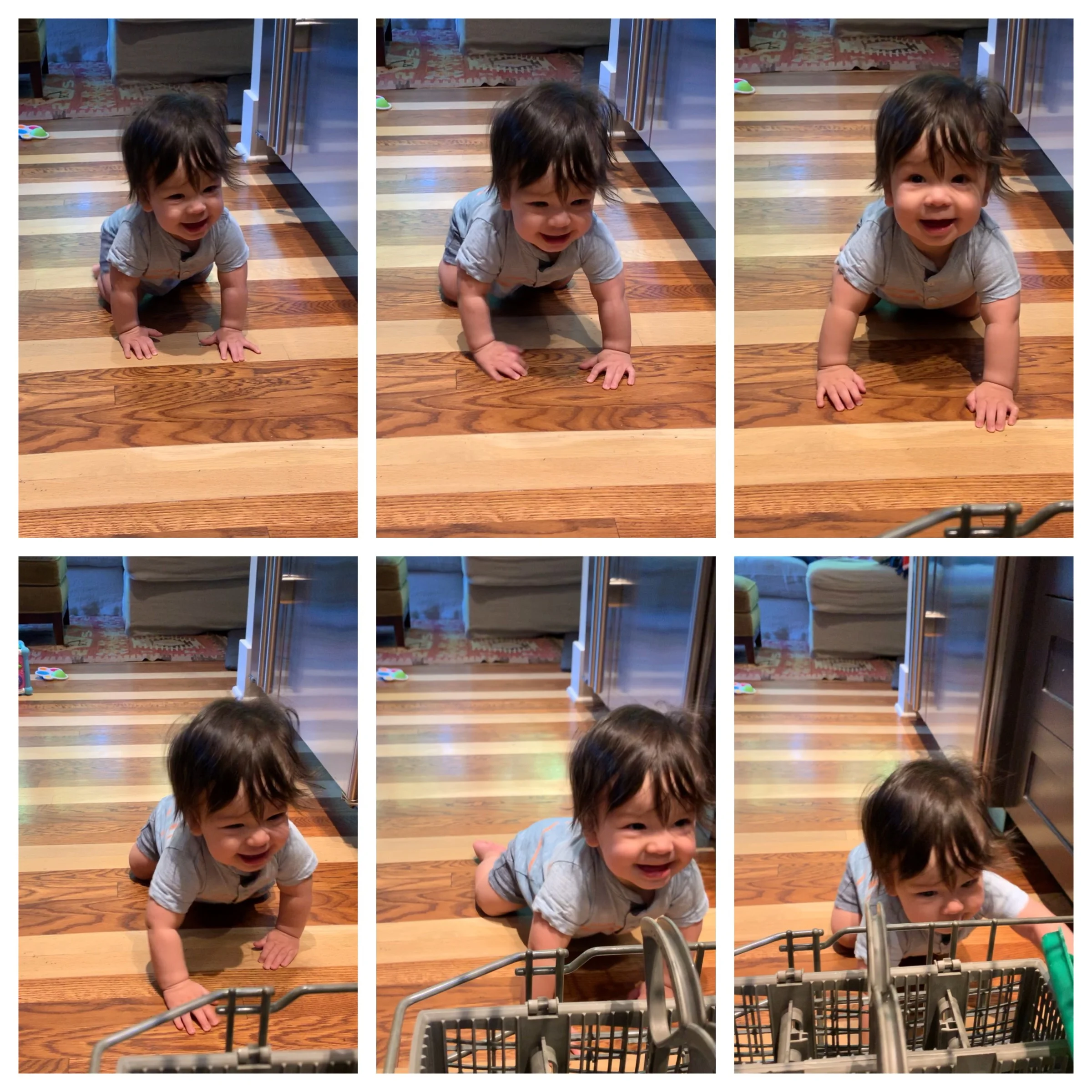 We have a crawler!