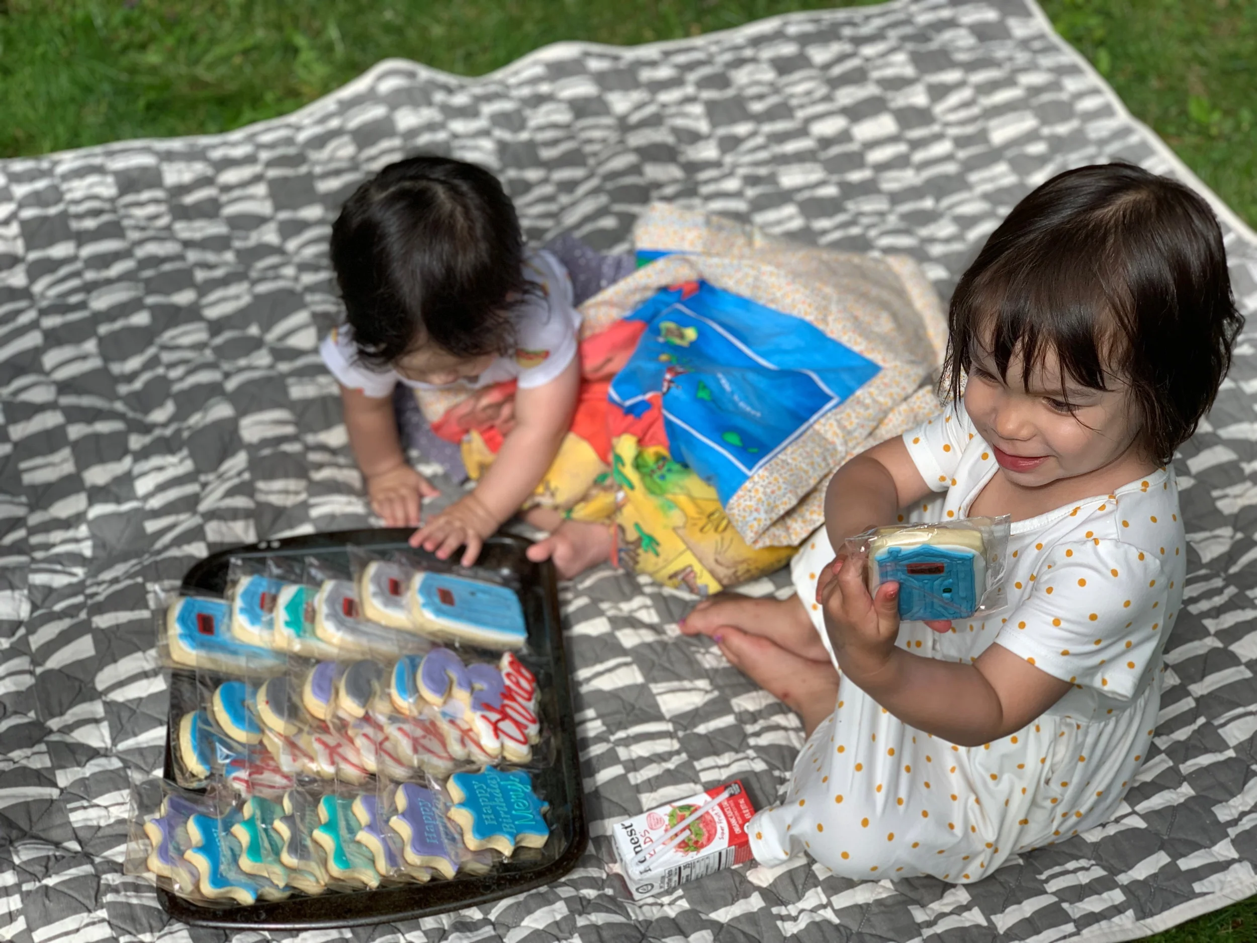 Honey Bucket cookies