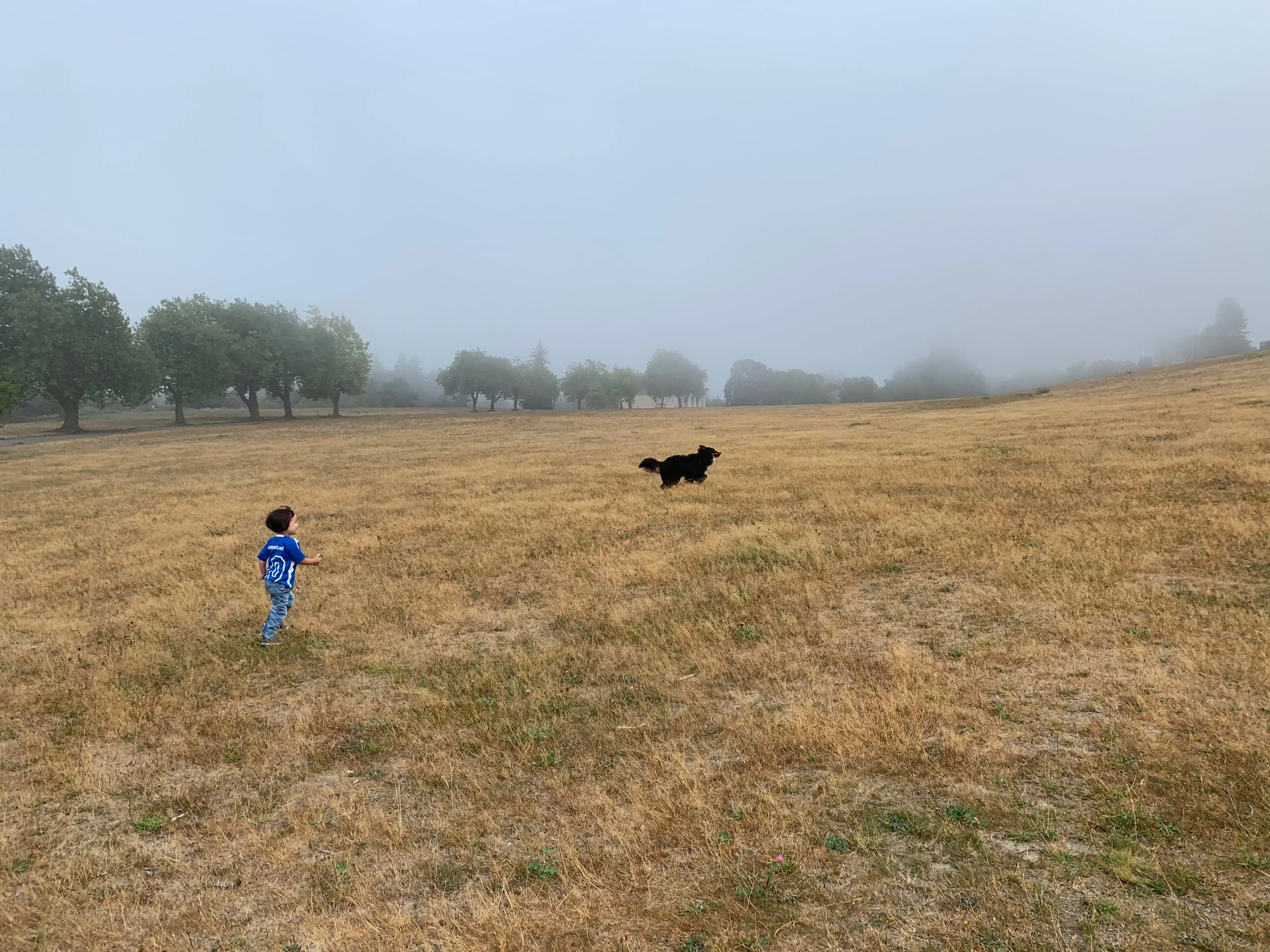 Discovery Park morning