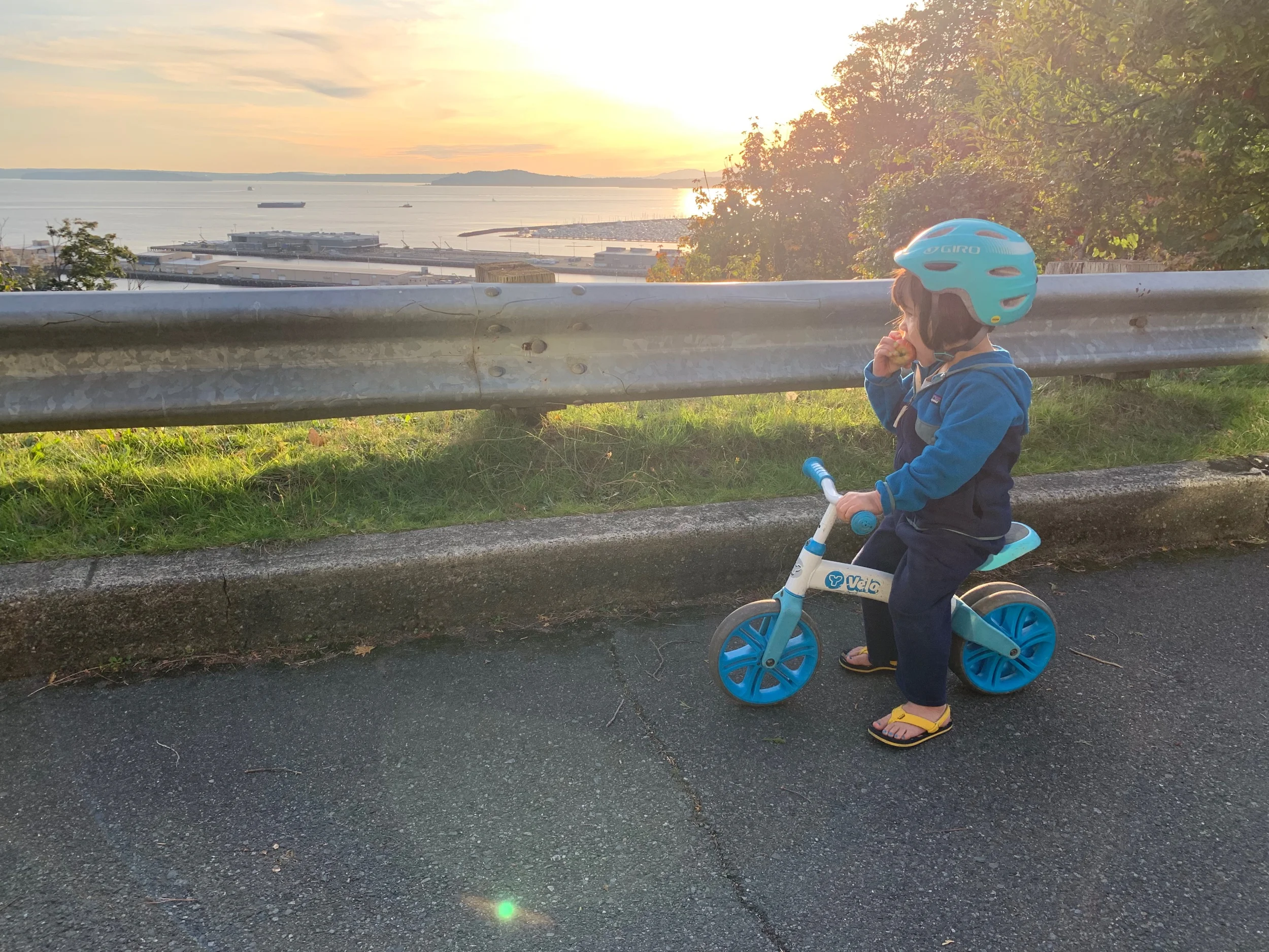 Still apple picking season