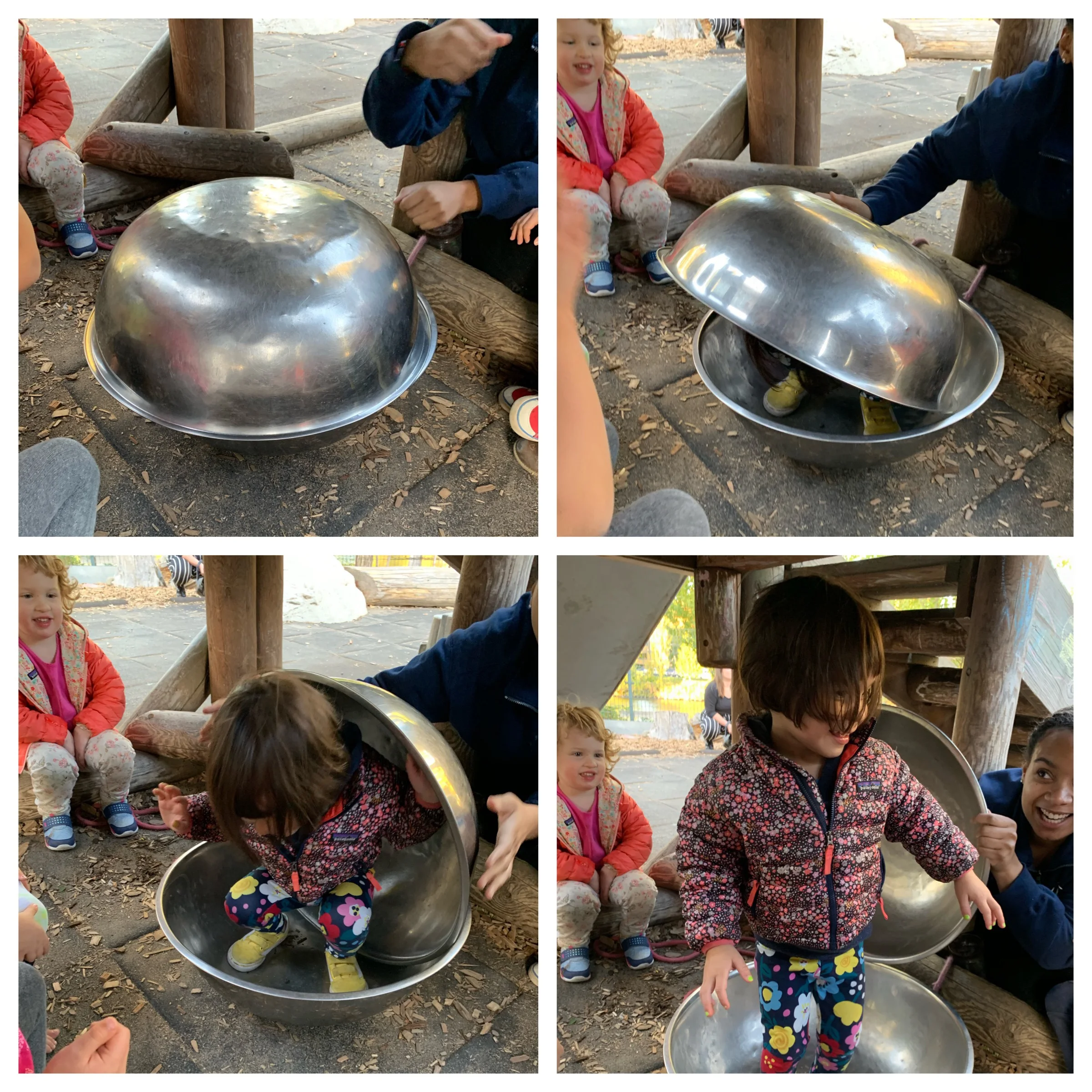 Hatching little chickens