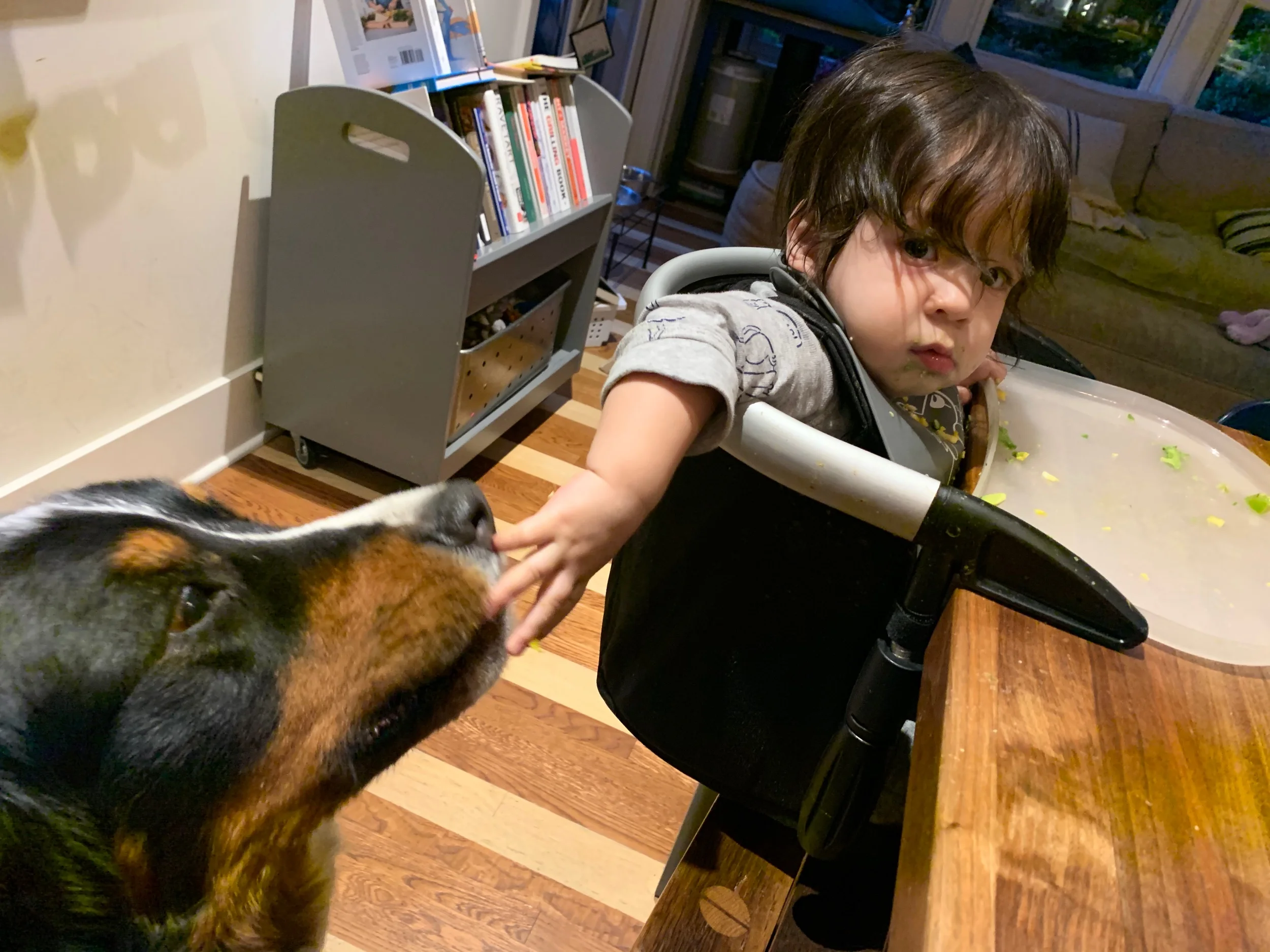 Symbiotic relationship