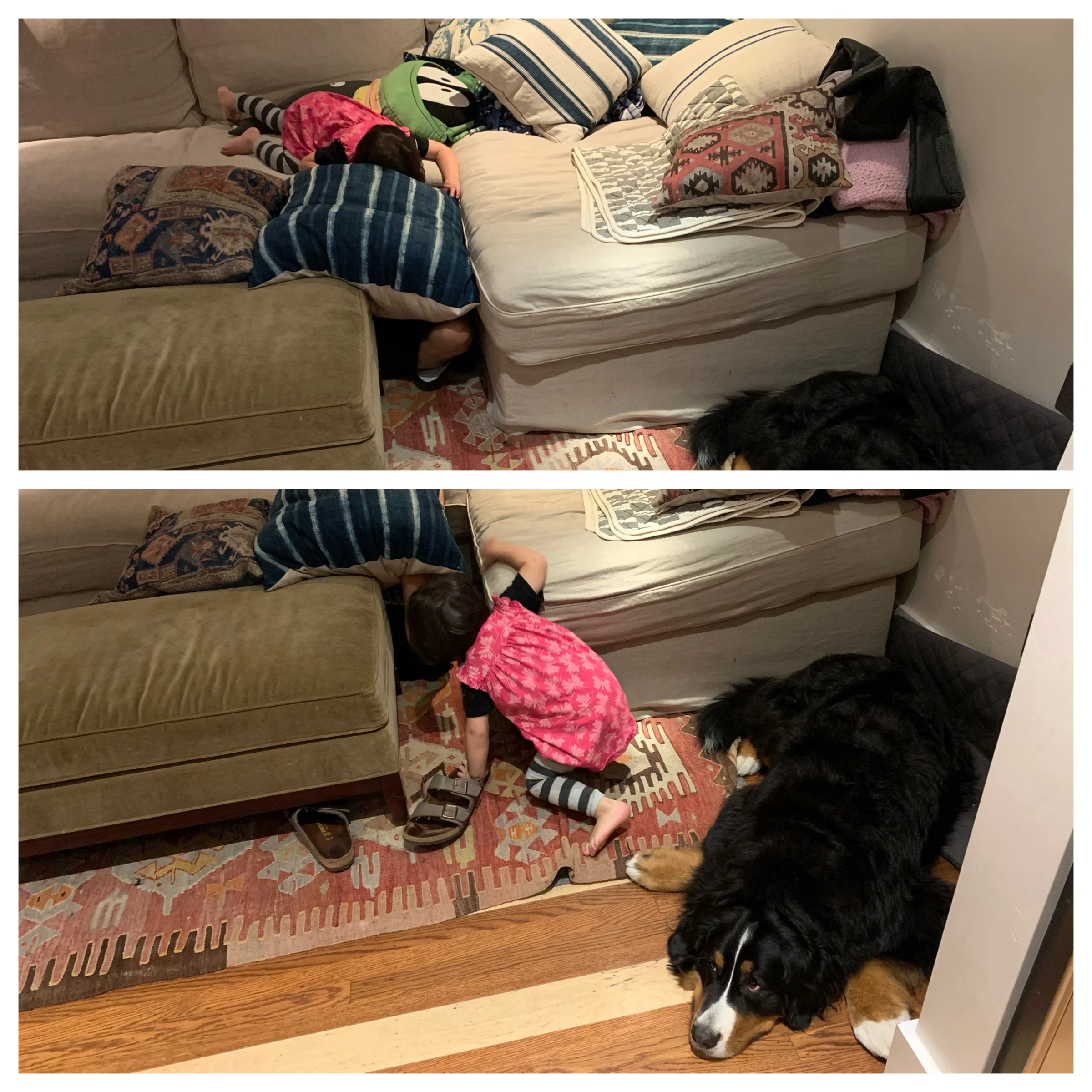 Tunnels and forts, of course