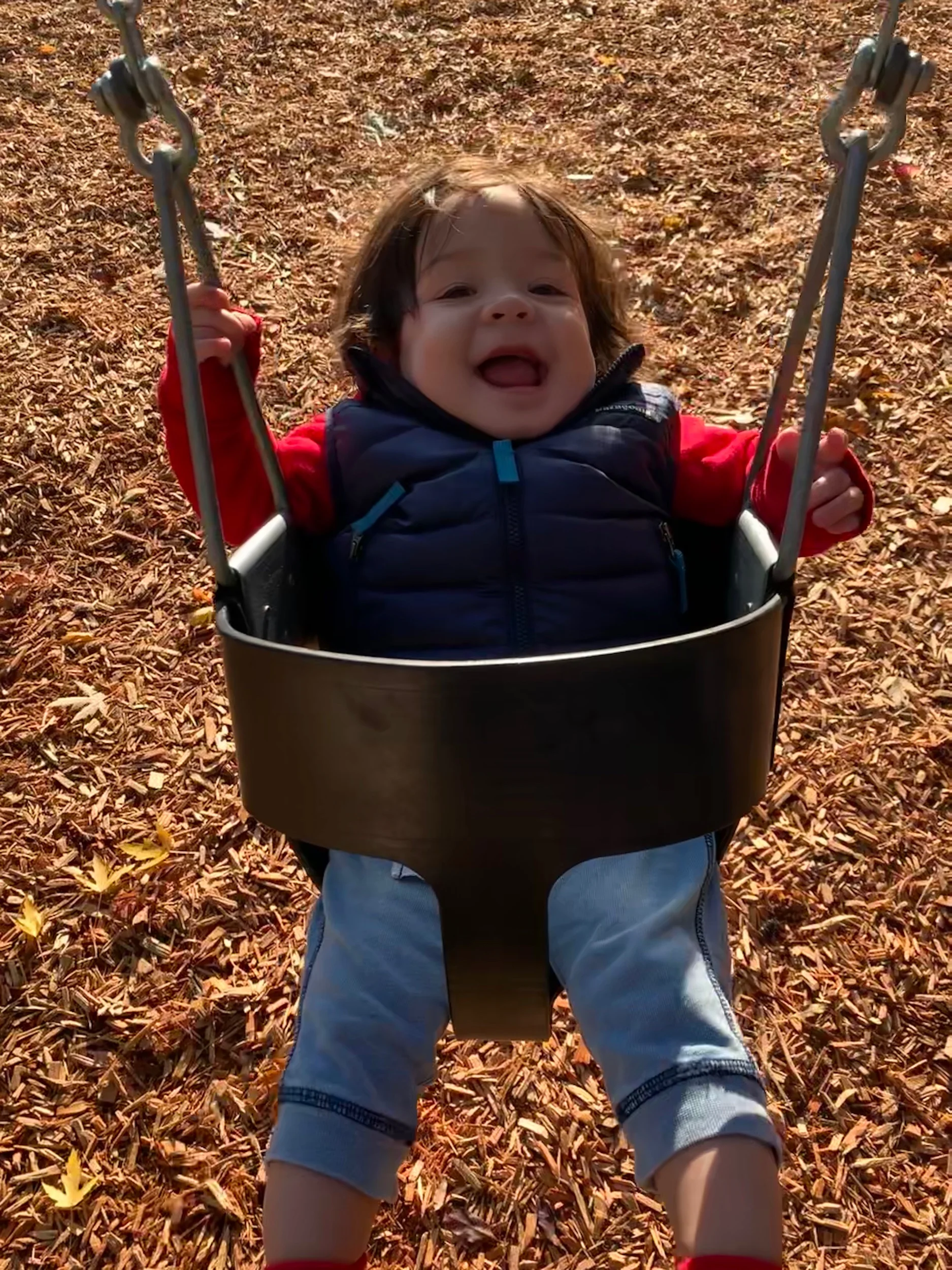 Swinging in the sun