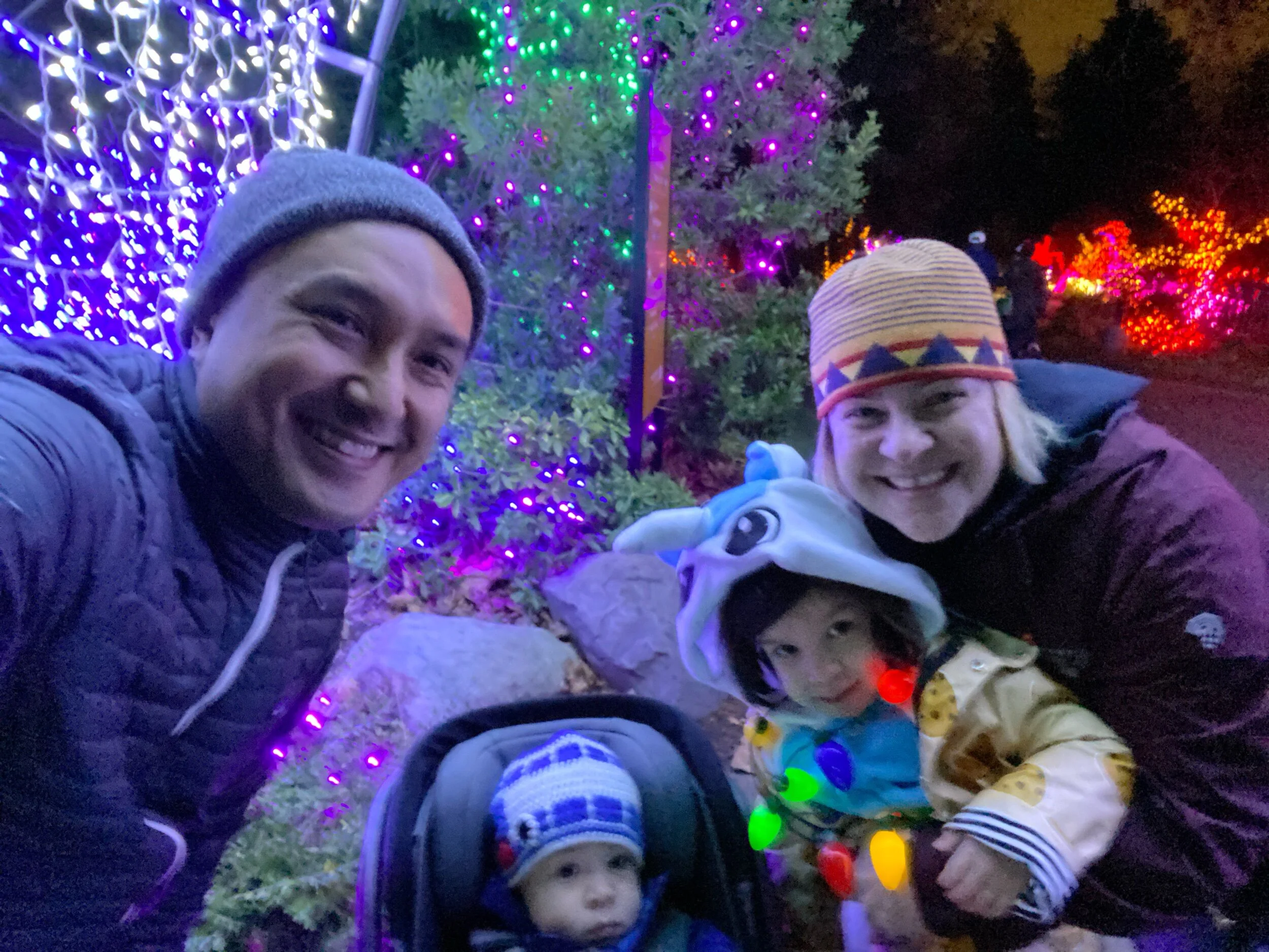 Zoo lights