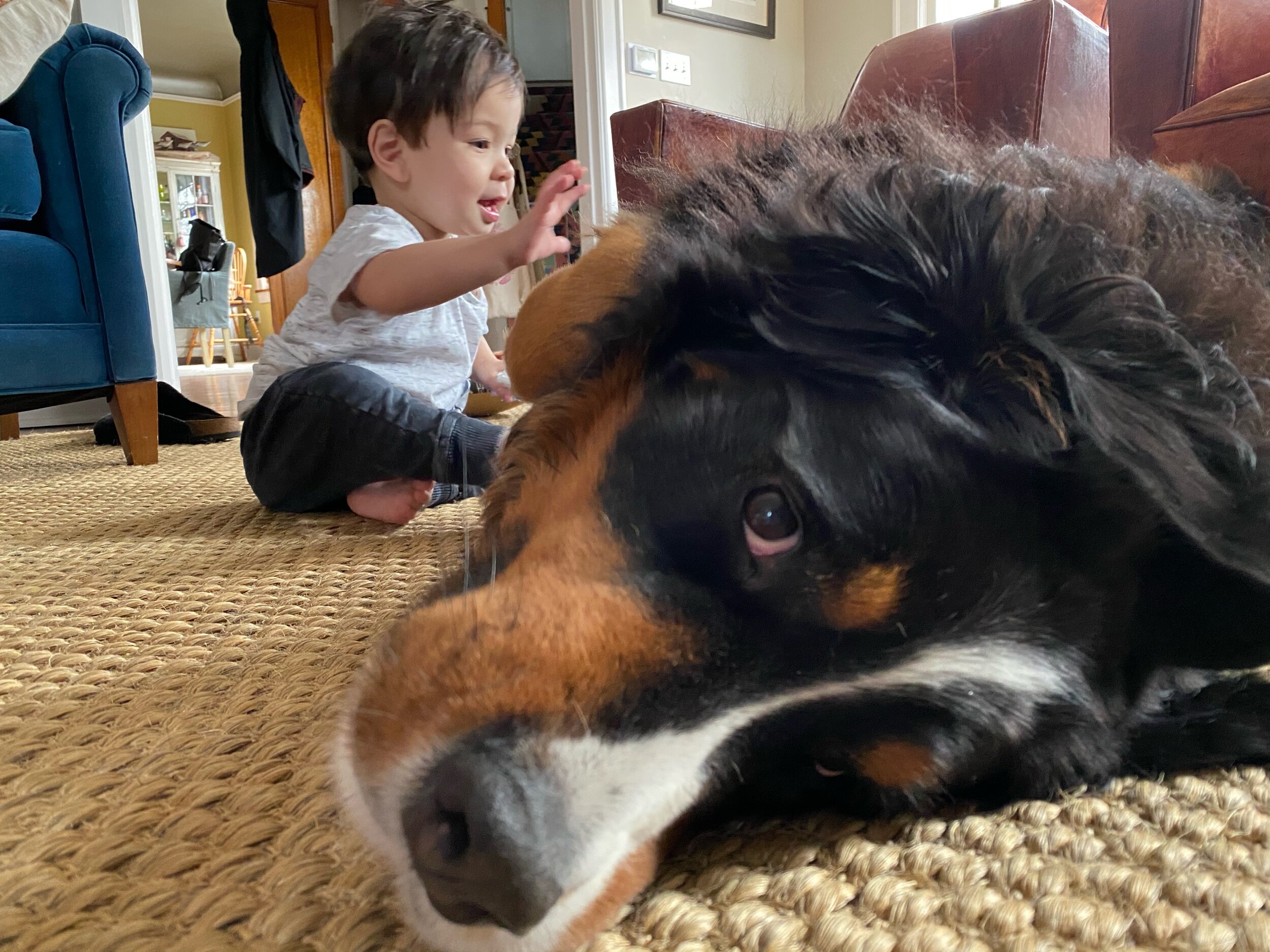 “I’m getting extra treats, right?”