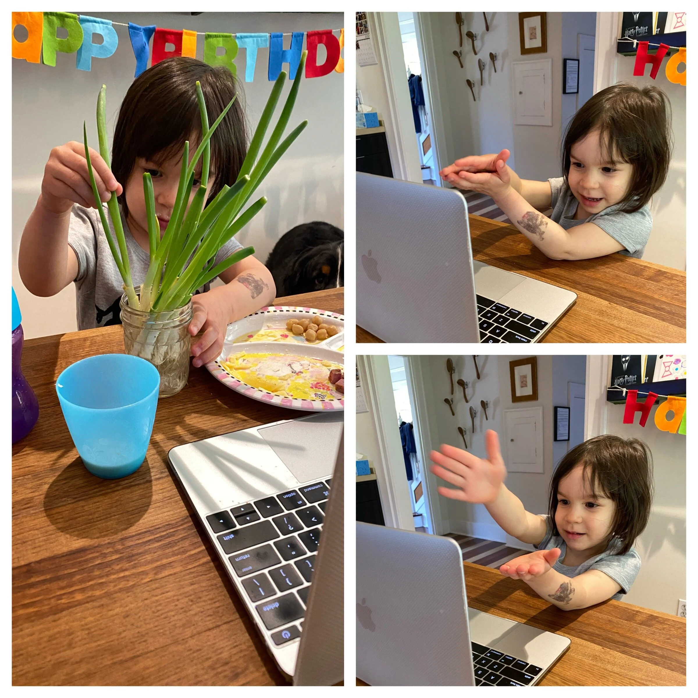 Zooming with friends