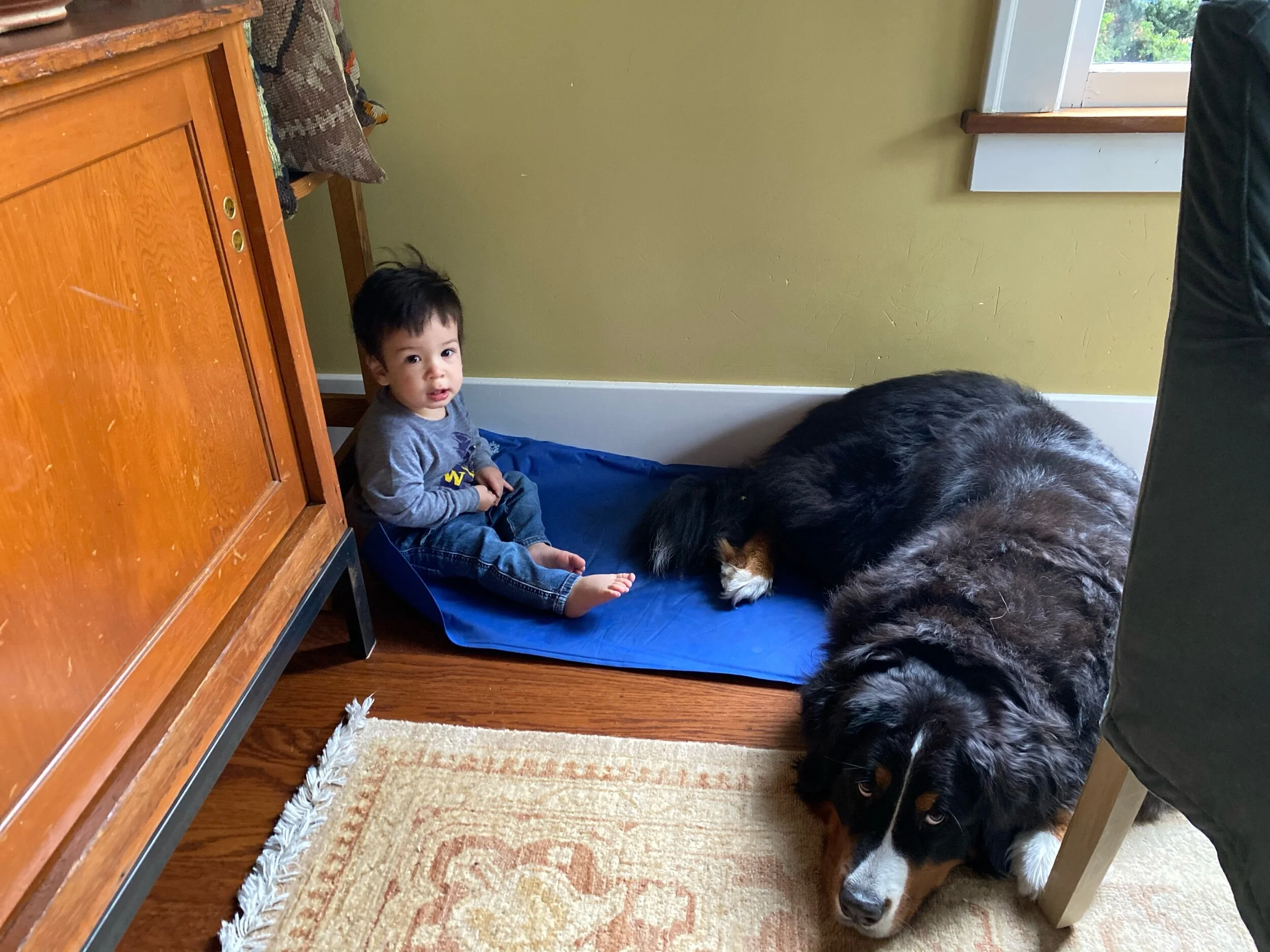 This town ain’t big enough for the both of us