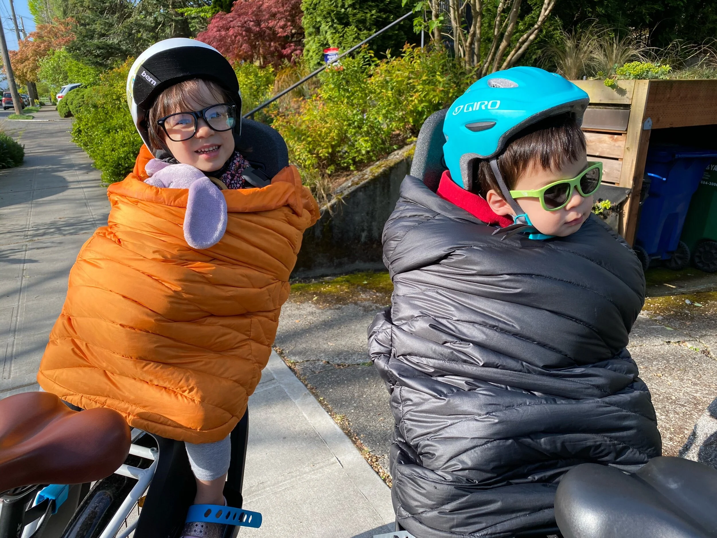 Sunny spring caterpillars