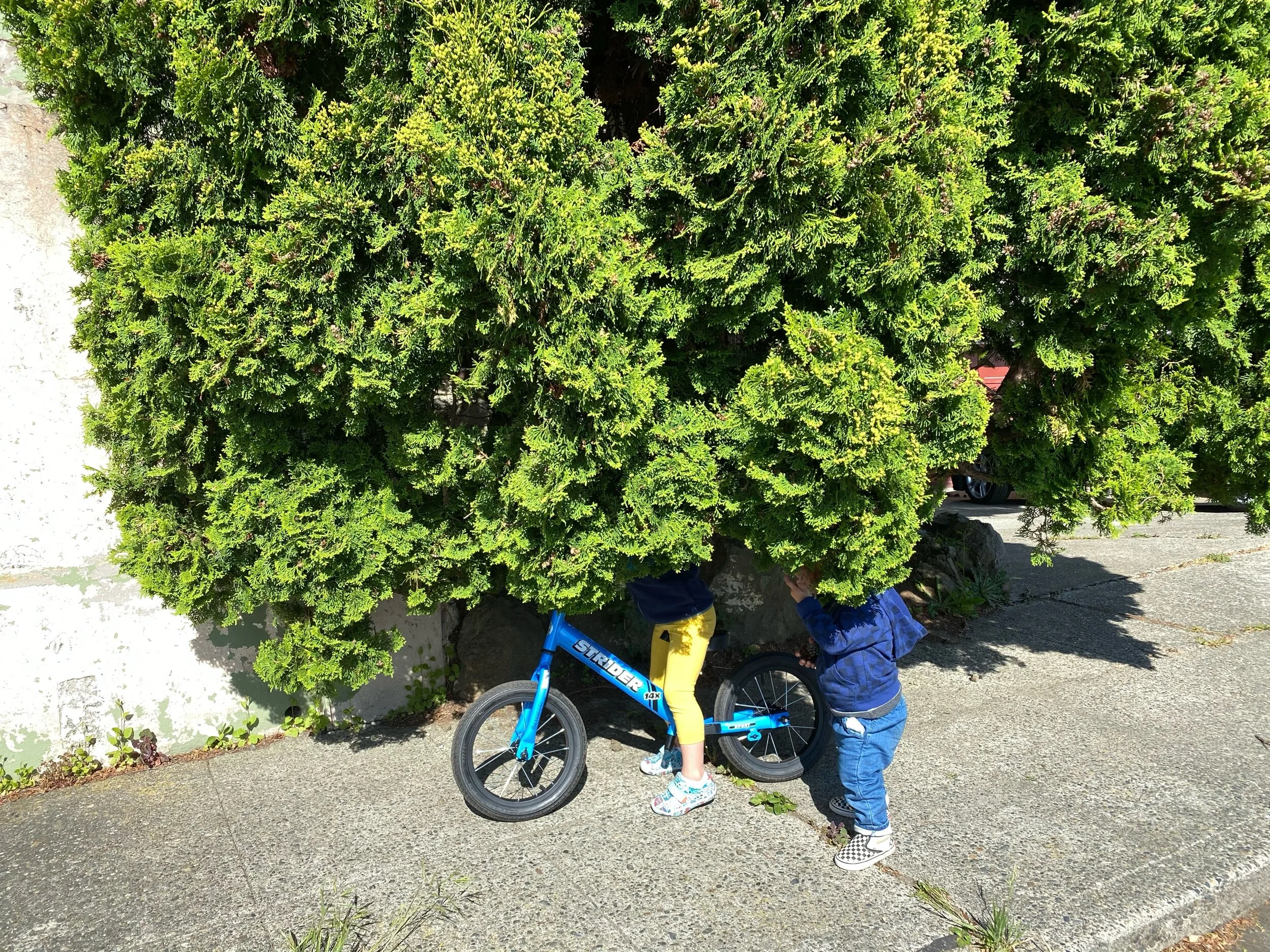 “Where’s my gray matter?”