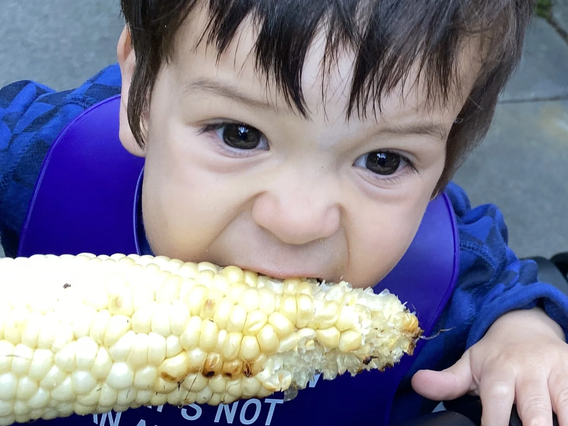 Born to eat corn