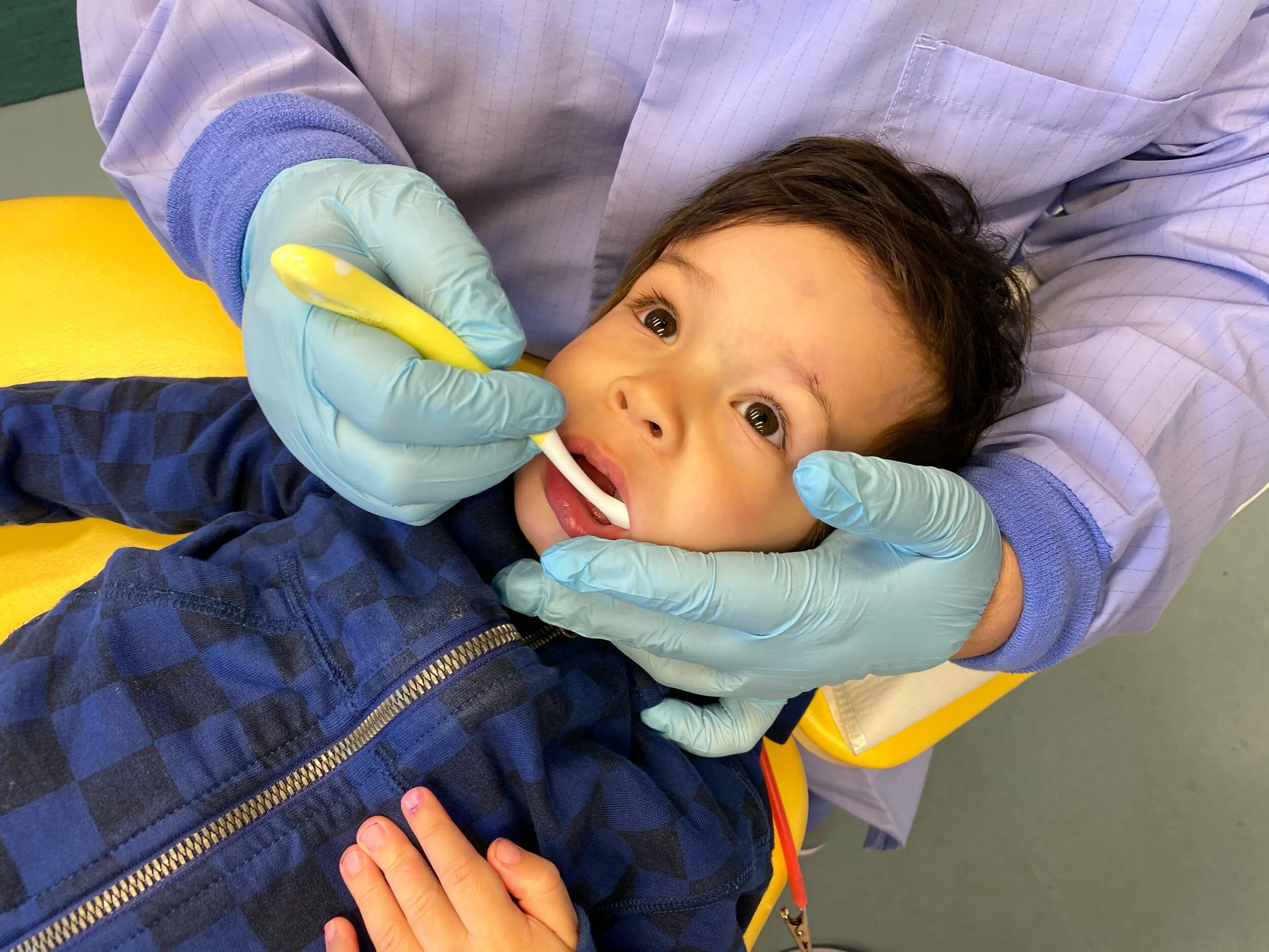 What’s Winnie the Pooh doing up there?