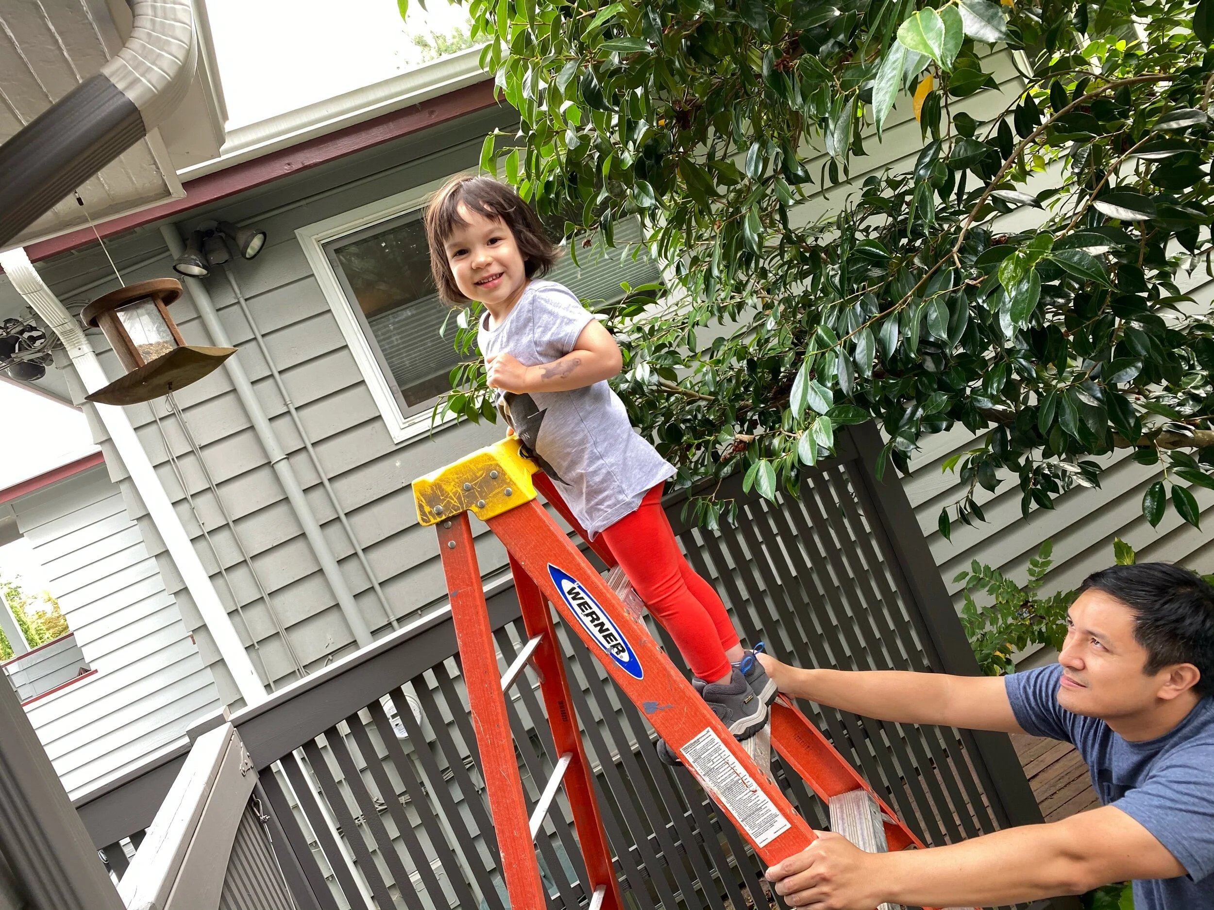 We’re here for you, birds