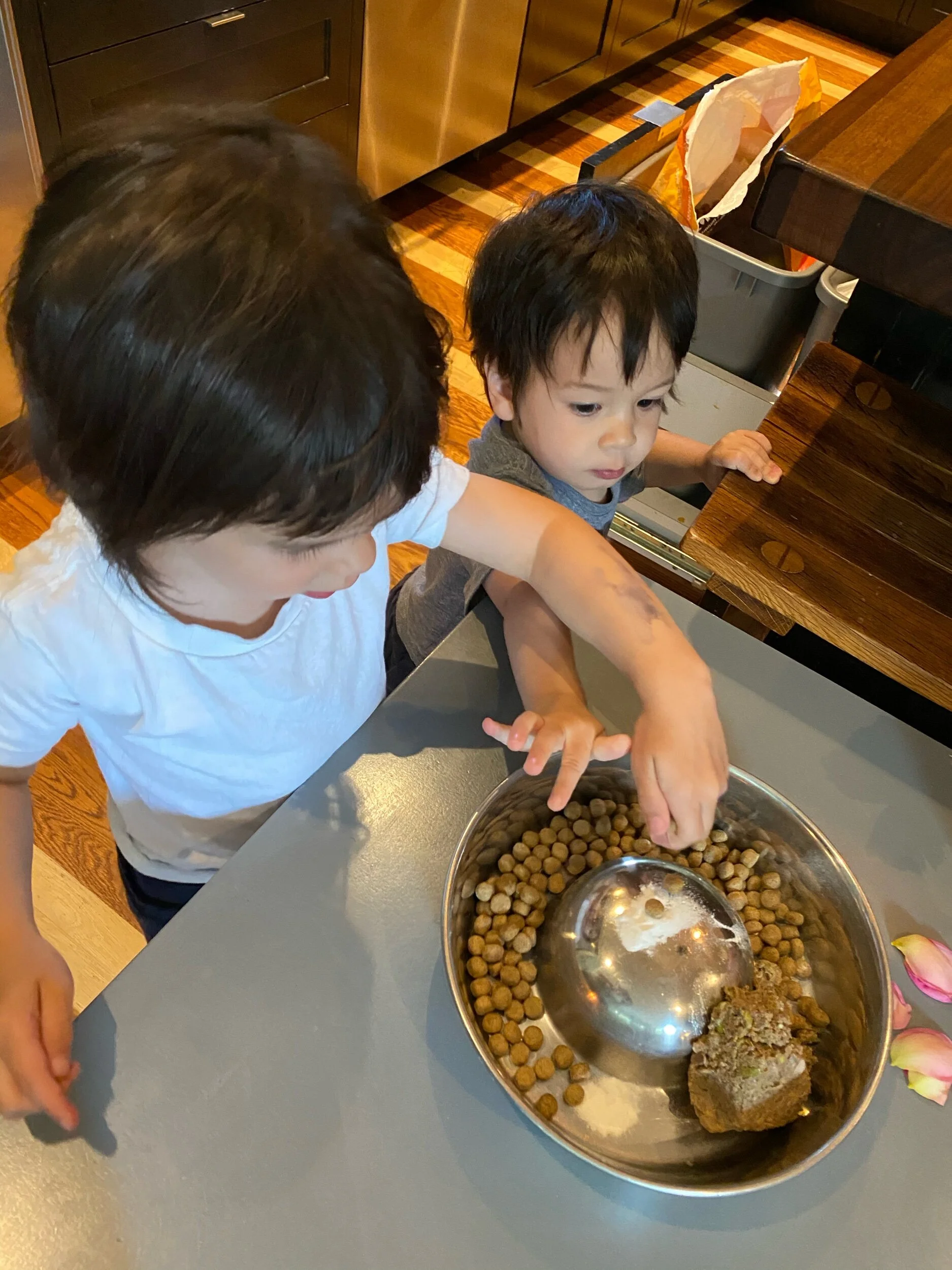 Feeding Lummi is still a competitive sport