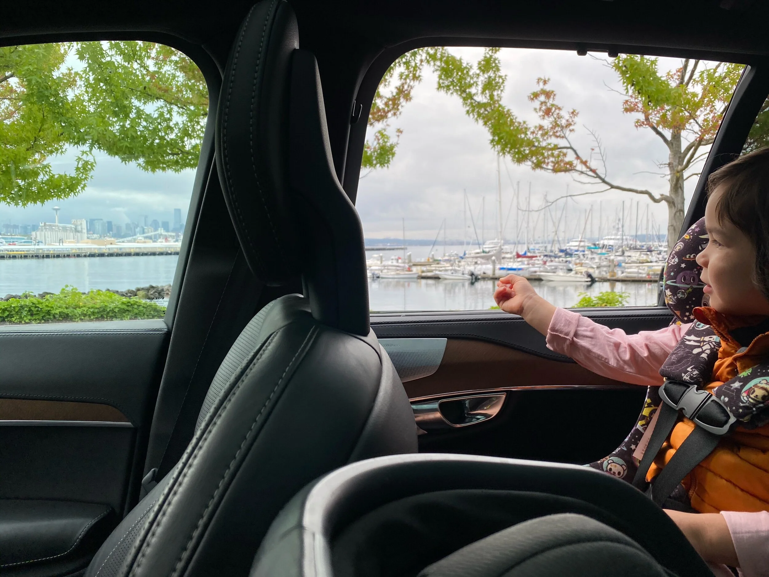 “What’s a marina?”