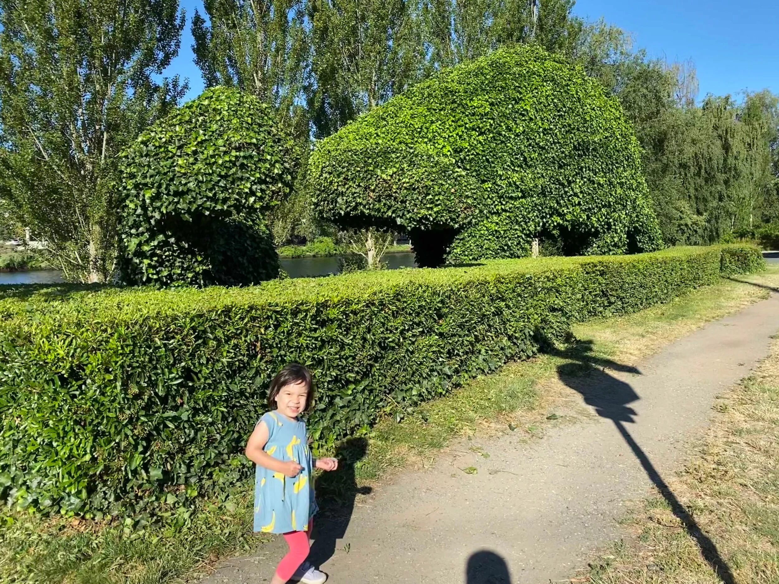 Prehistoric morning adventure