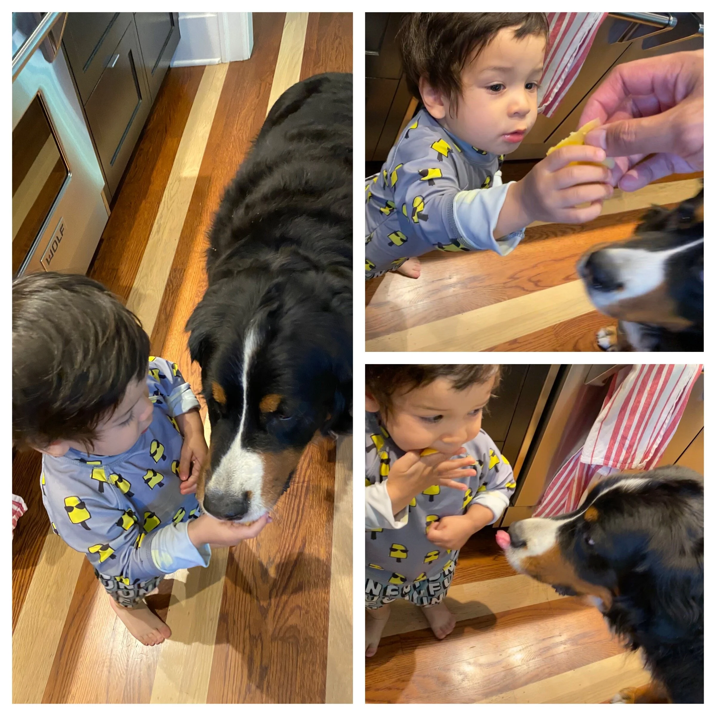 One for you, one for me