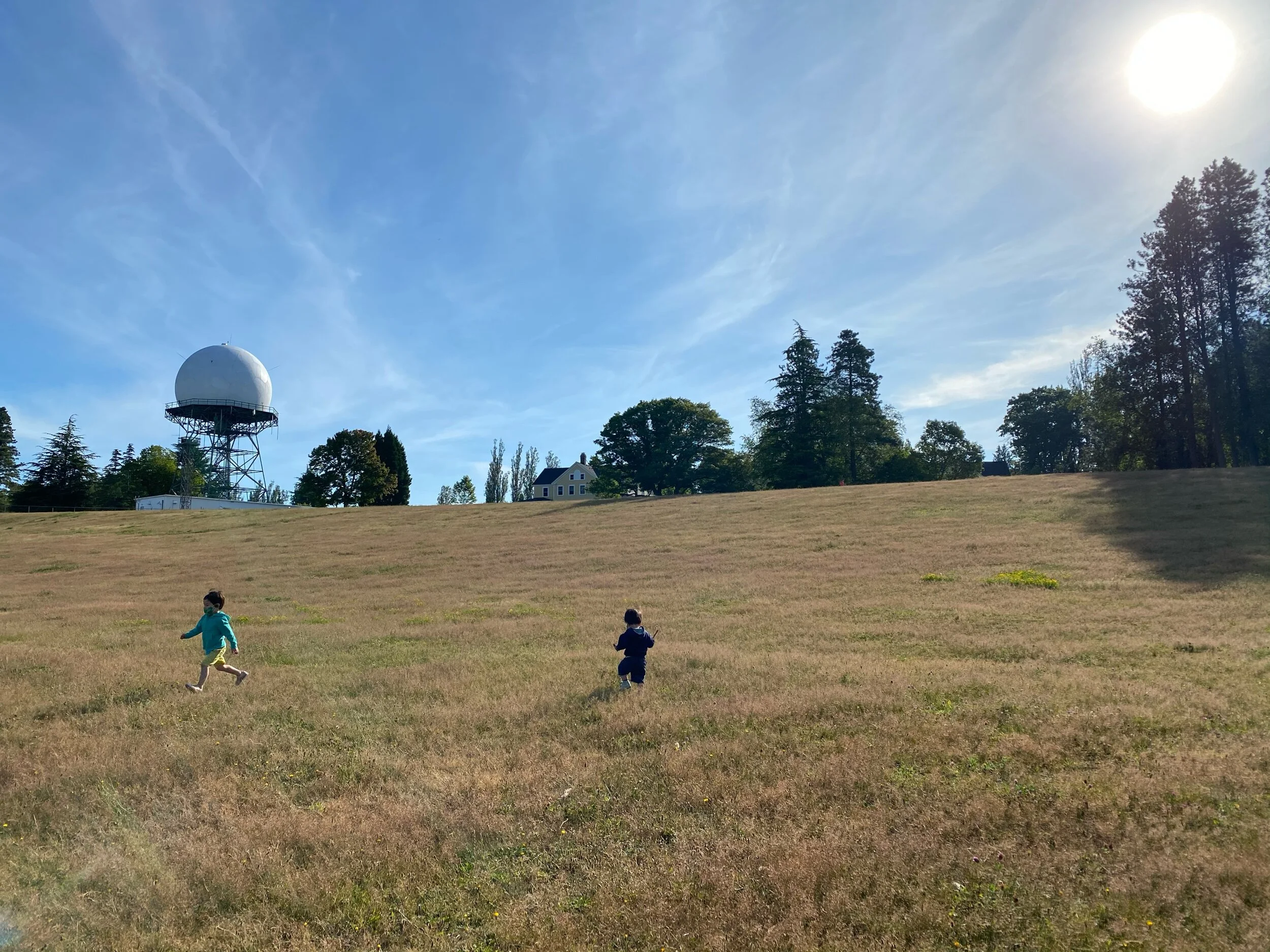 Discovery Park morning